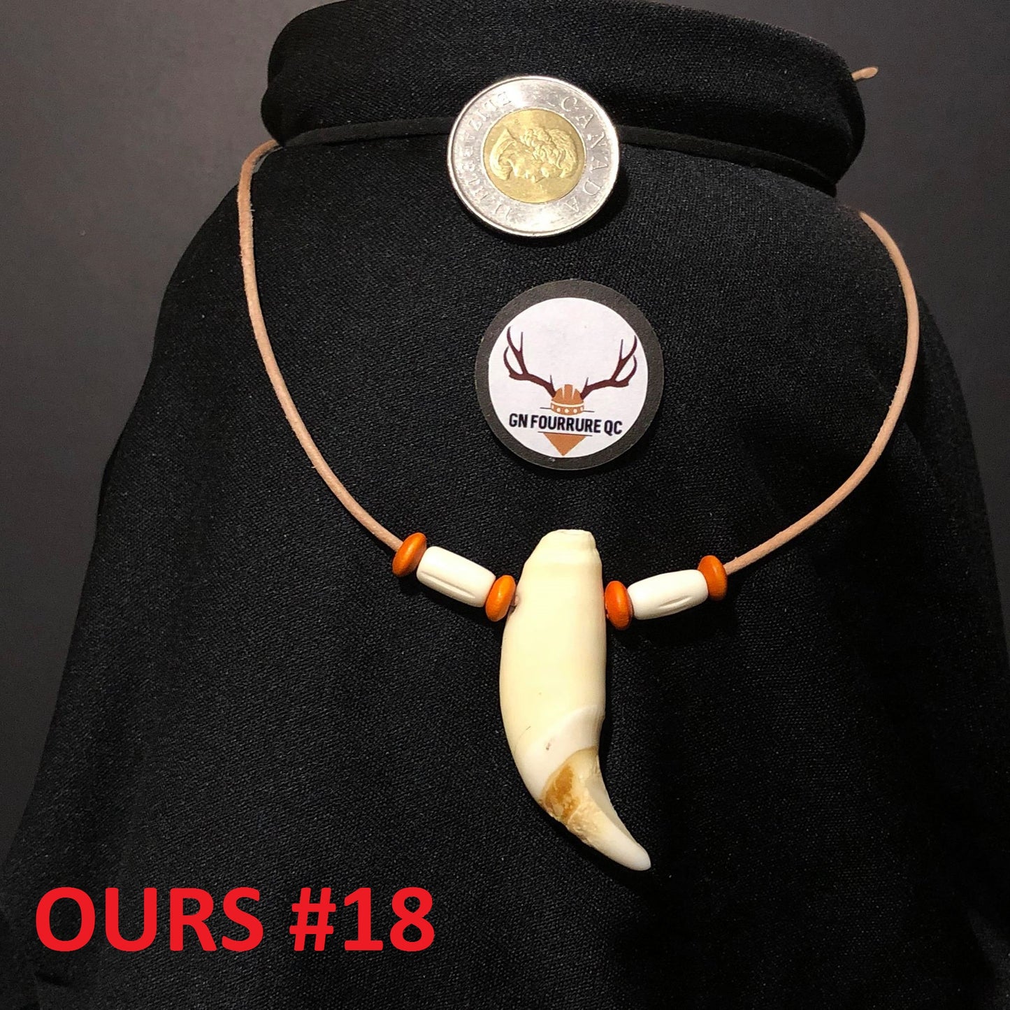 Bear Tooth Necklace Collection - Custom