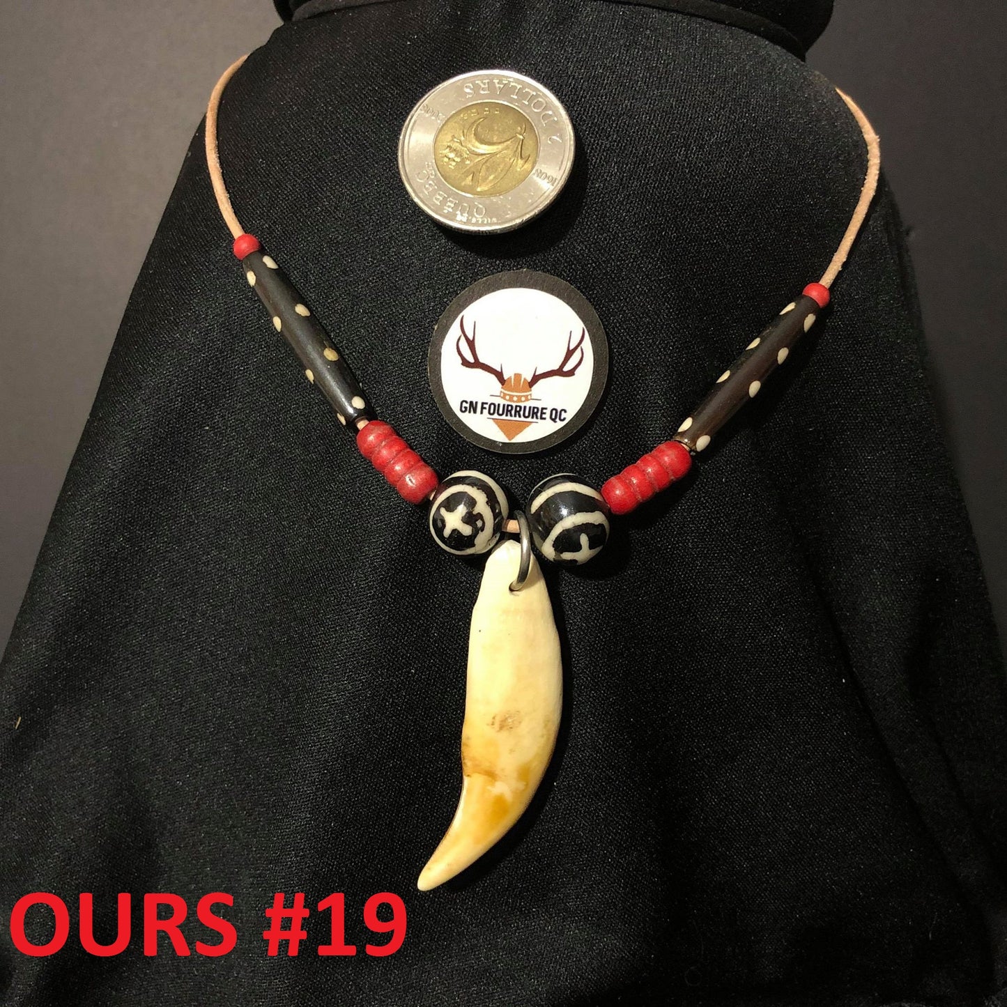 Bear Tooth Necklace Collection - Custom