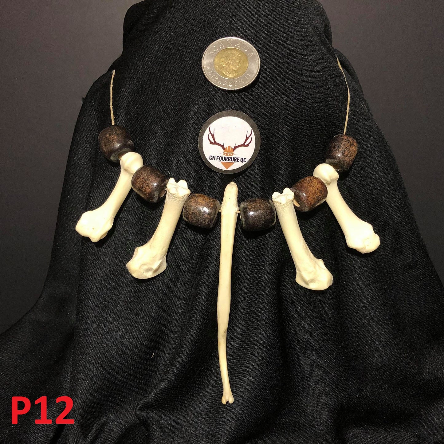 Colliers en os de Baculum