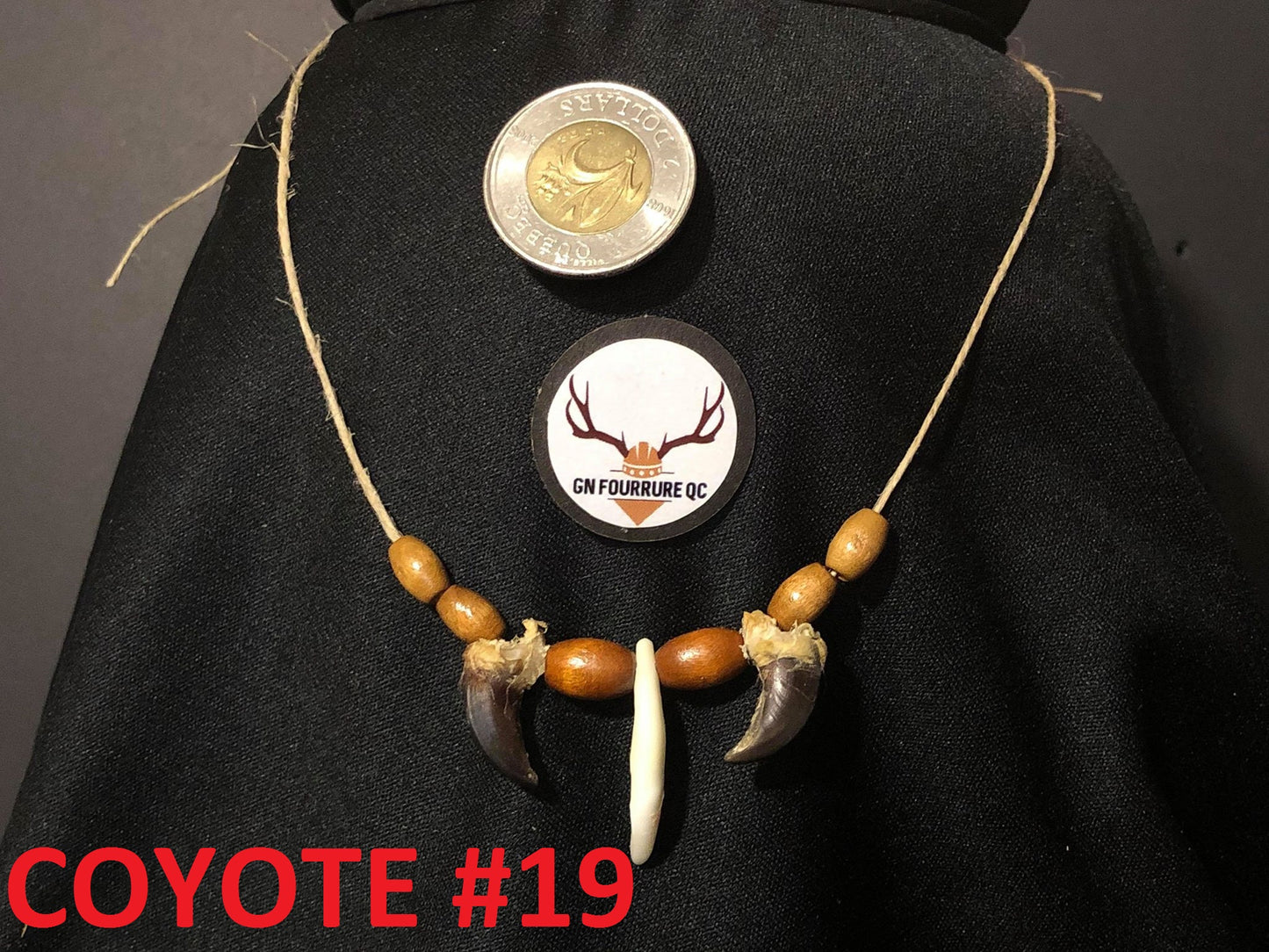 Coyote Tooth Necklace