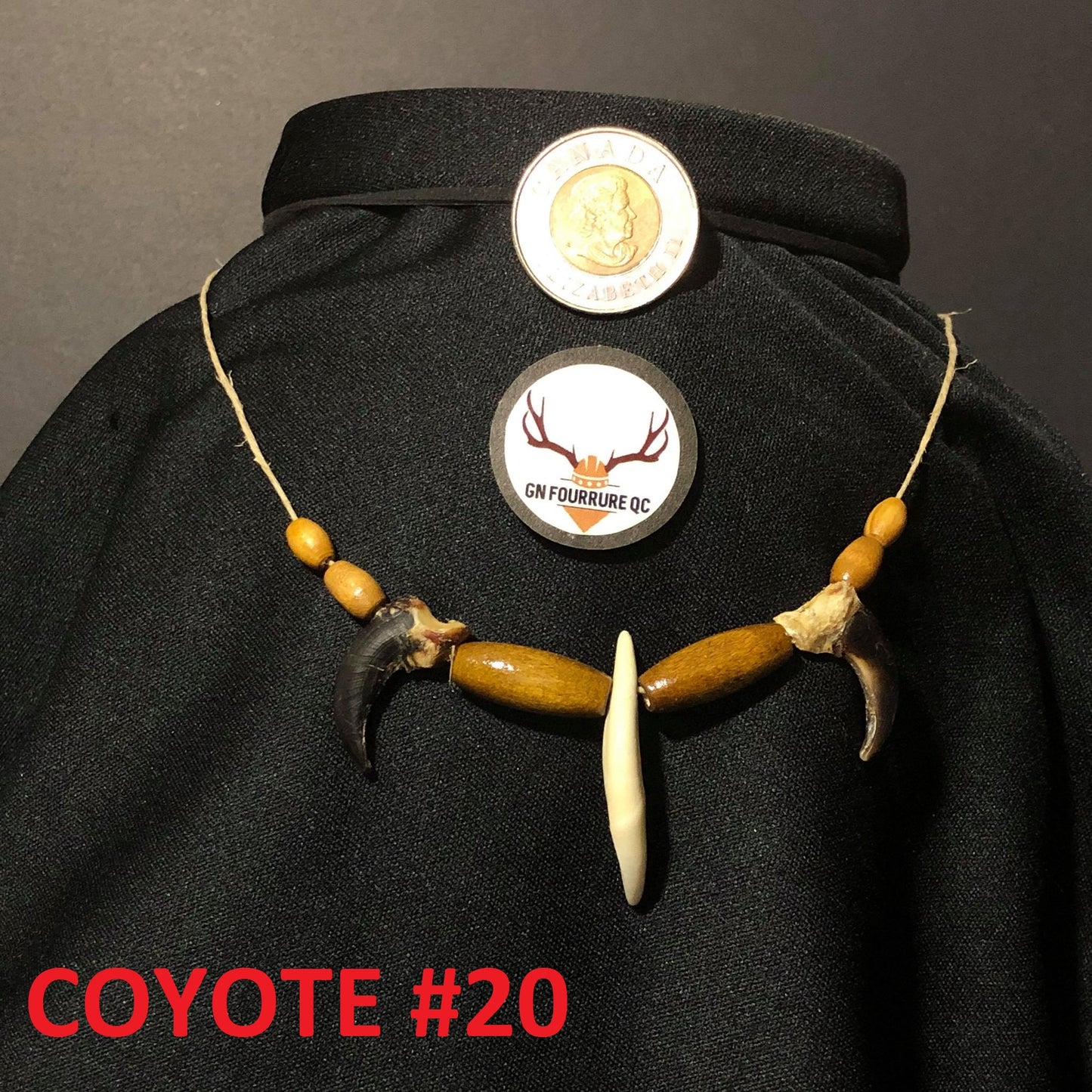 Coyote Tooth Necklace
