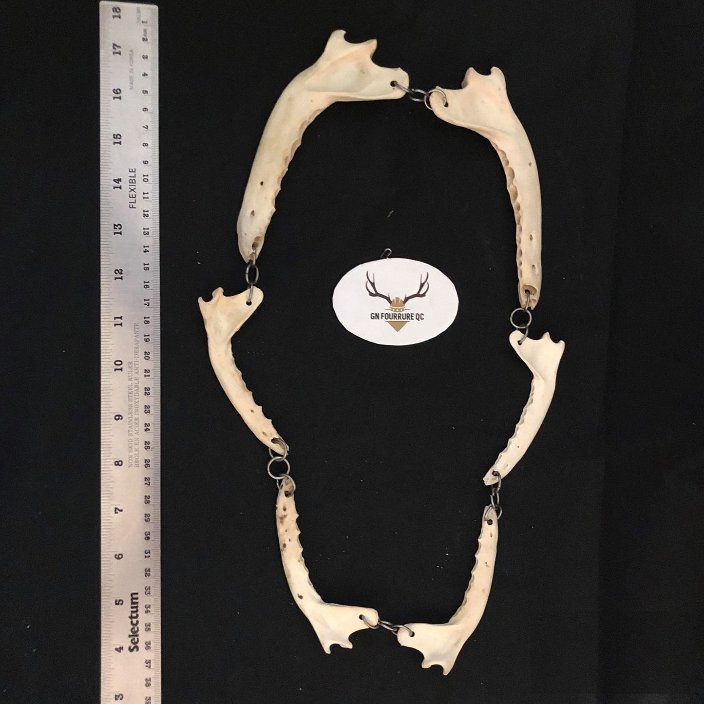 Collier Mâchoire