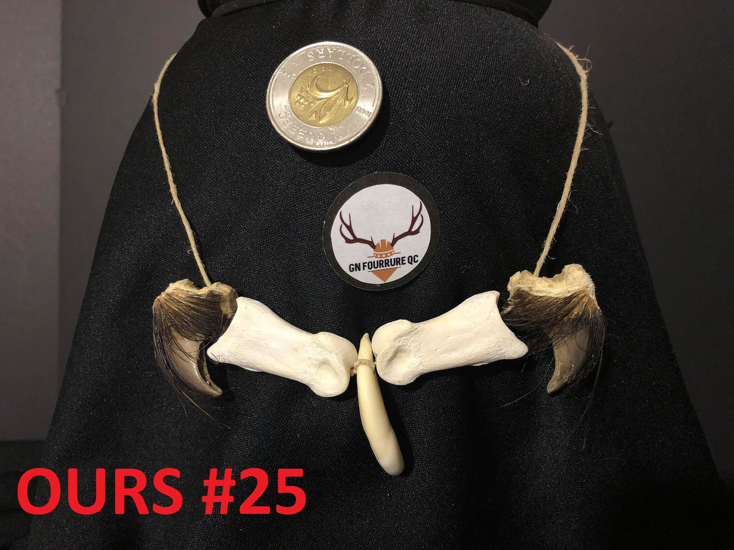 Collier Dents et Griffes d'Ours Collection "Chieftain" - Personnalisé