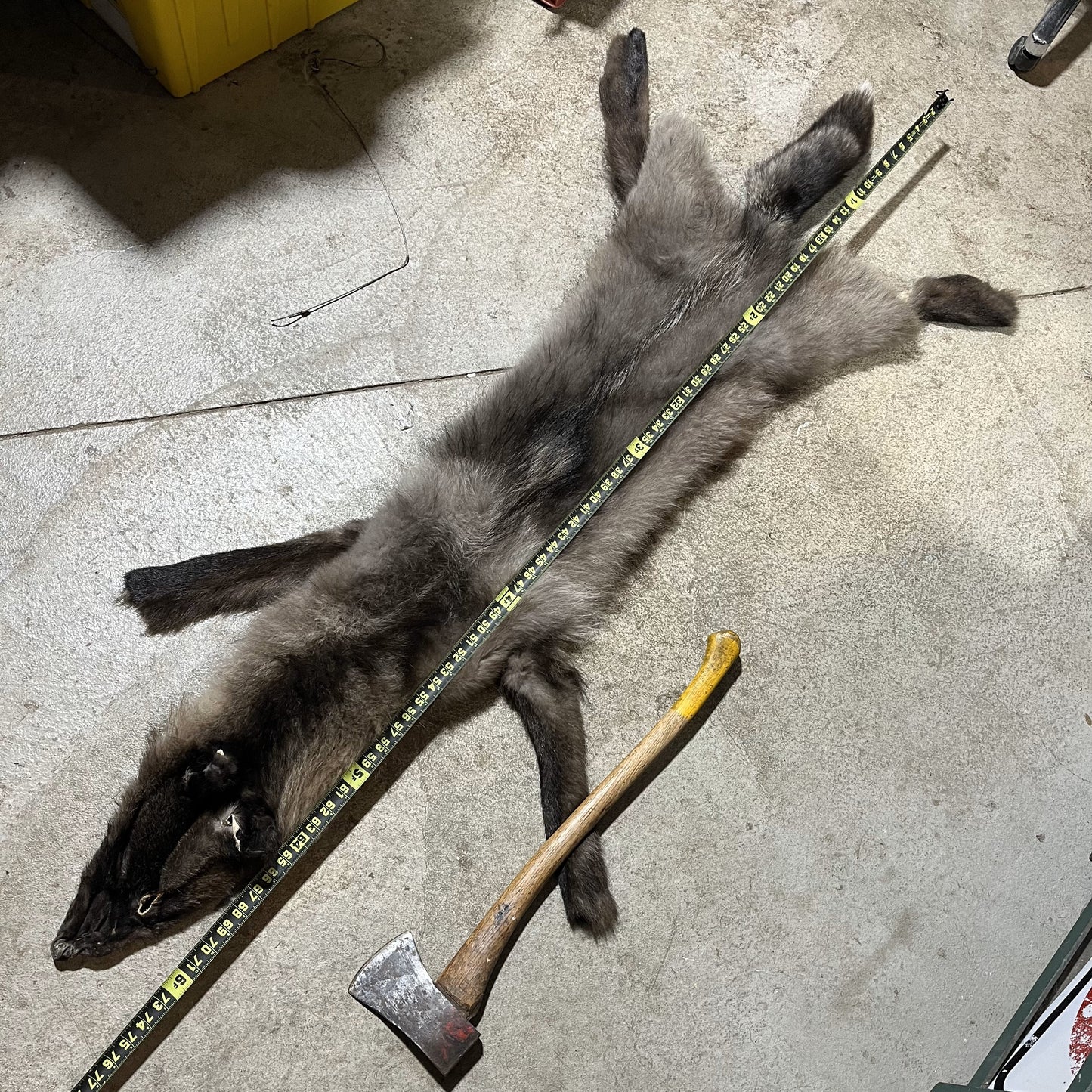 Silver Wolf Fur
