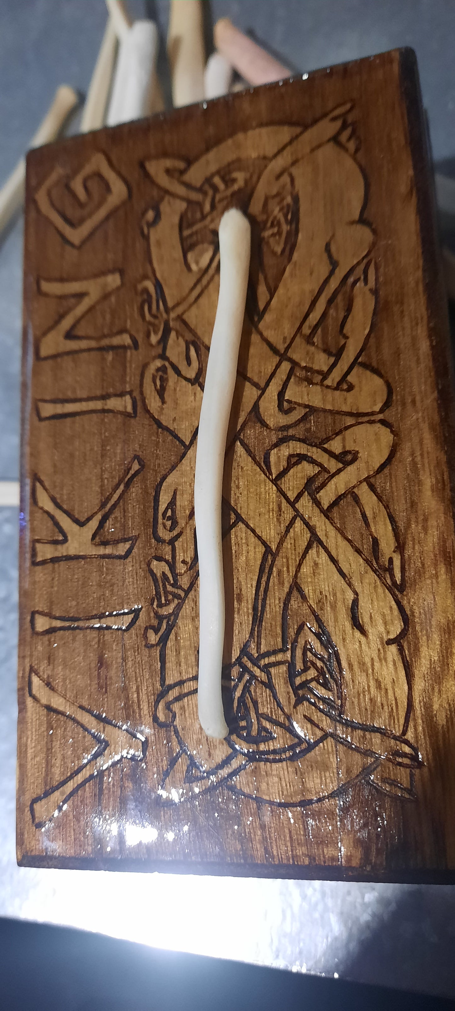 Baculum de petit ours