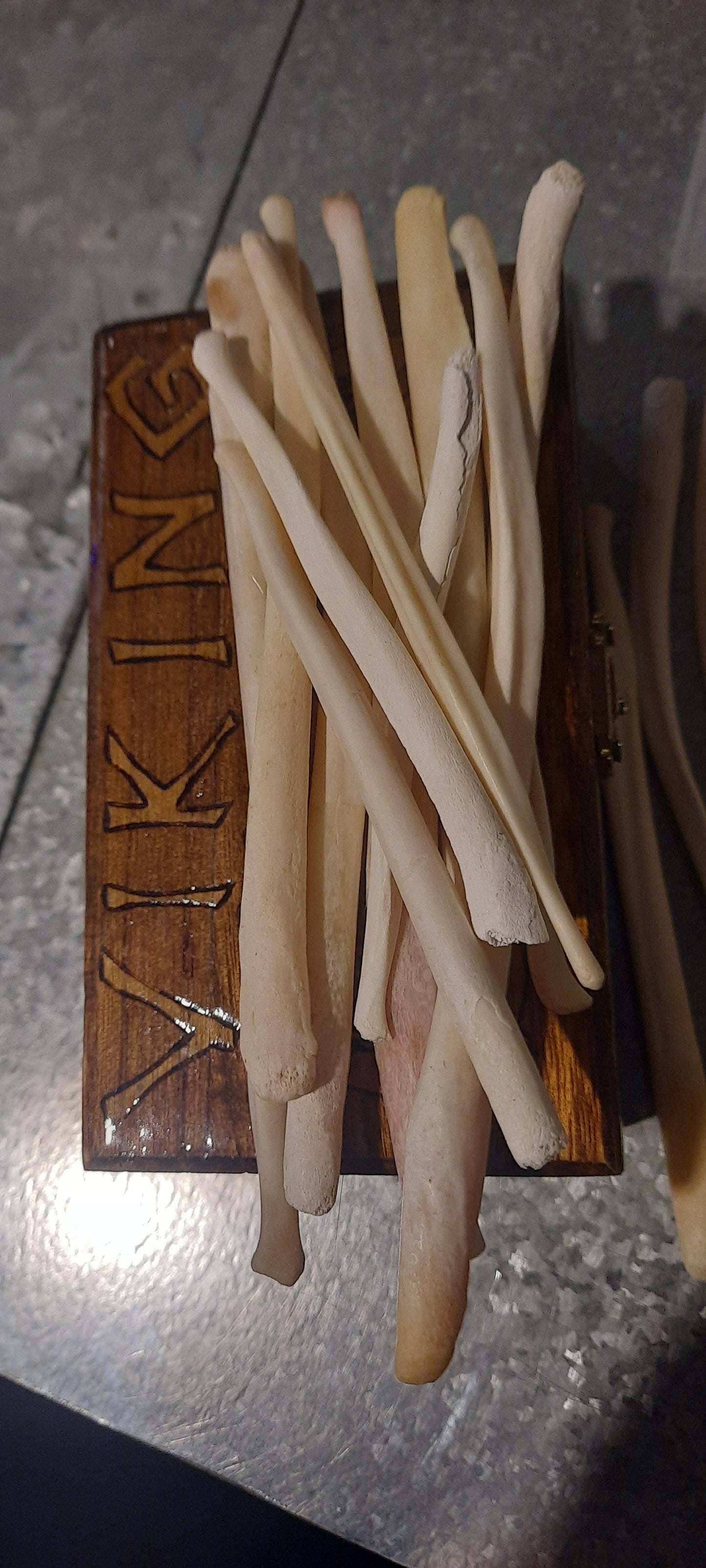 Baculum d'ours moyen