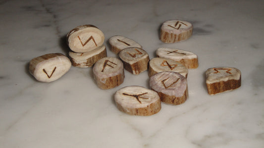 Antler Viking Rune Set Pyrography