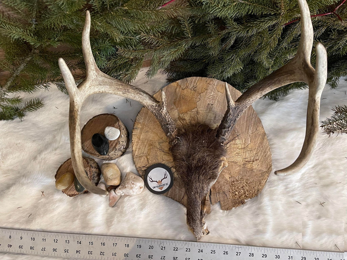 Deer Antler Headdress