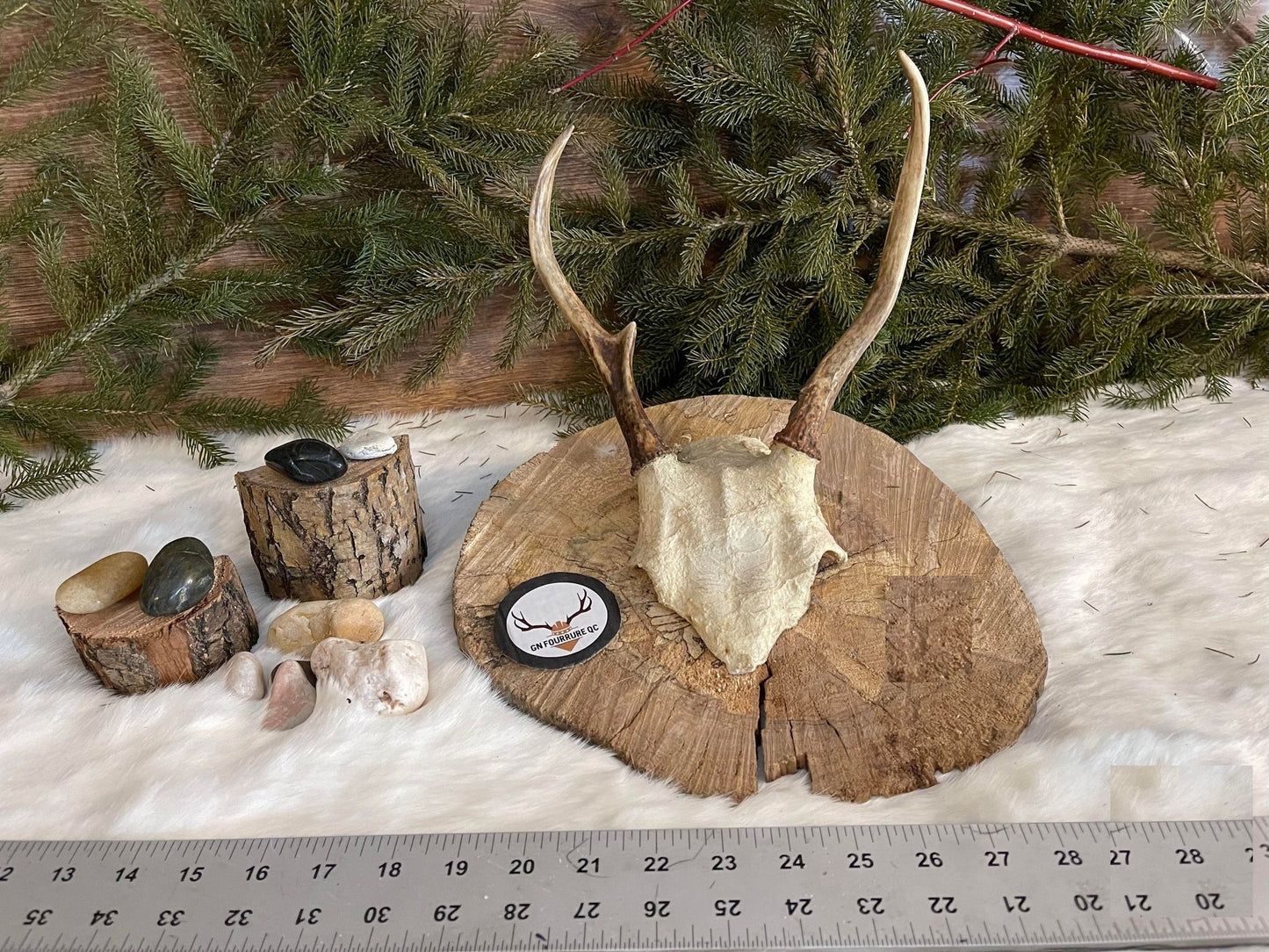 Deer Antler Headdress