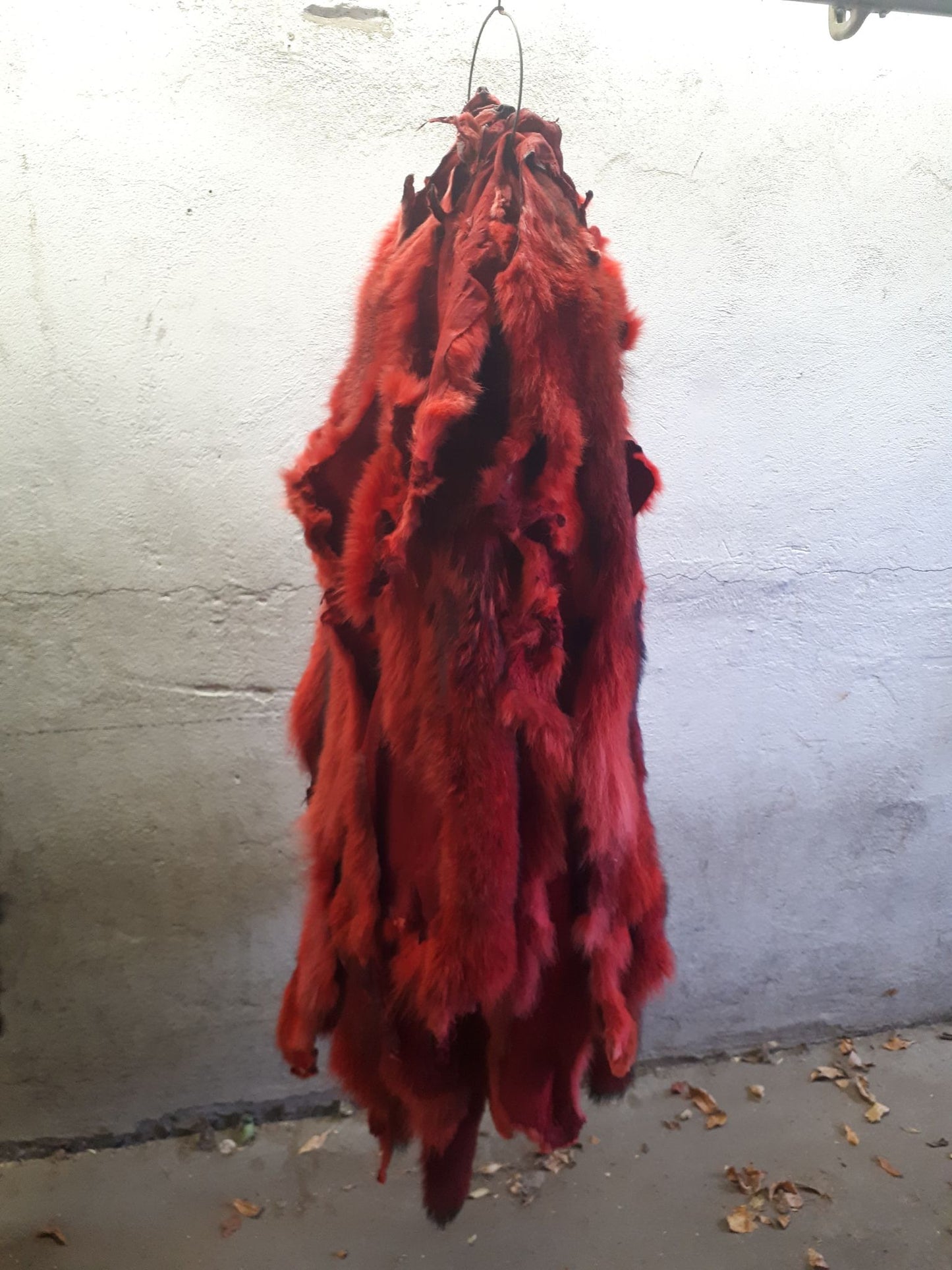 Coyote Fur Skin, Dyed