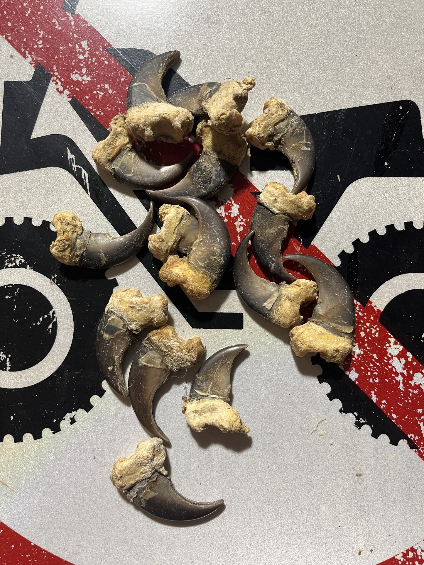 Second Quality Bear Claw