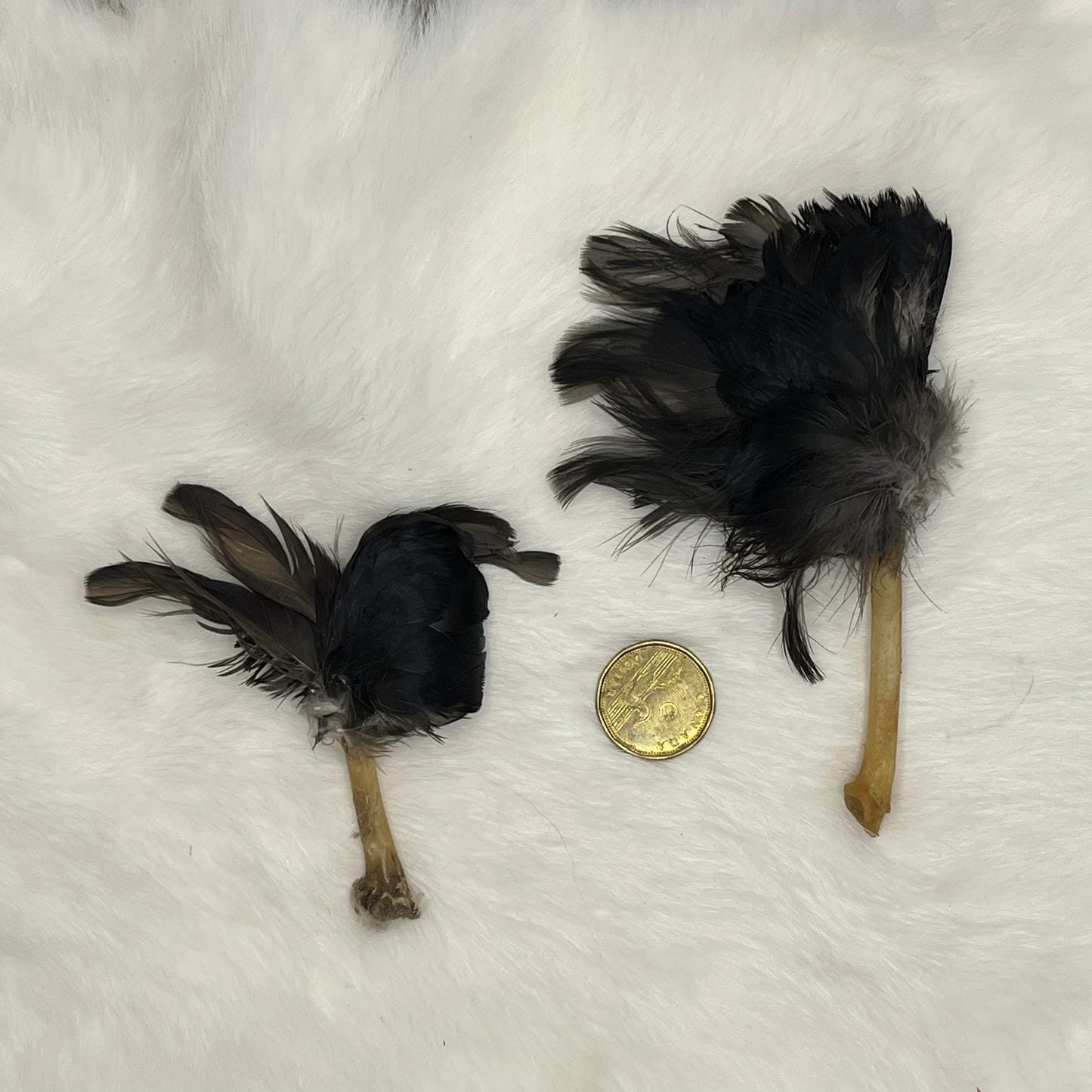 Éventail en plumes de corneille - Petit
