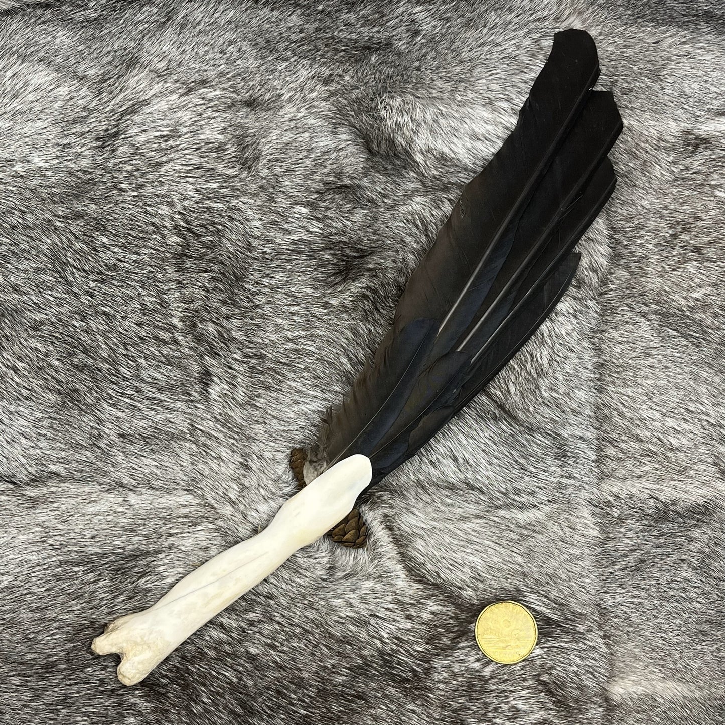 Éventail en plumes d'ailes de corneille