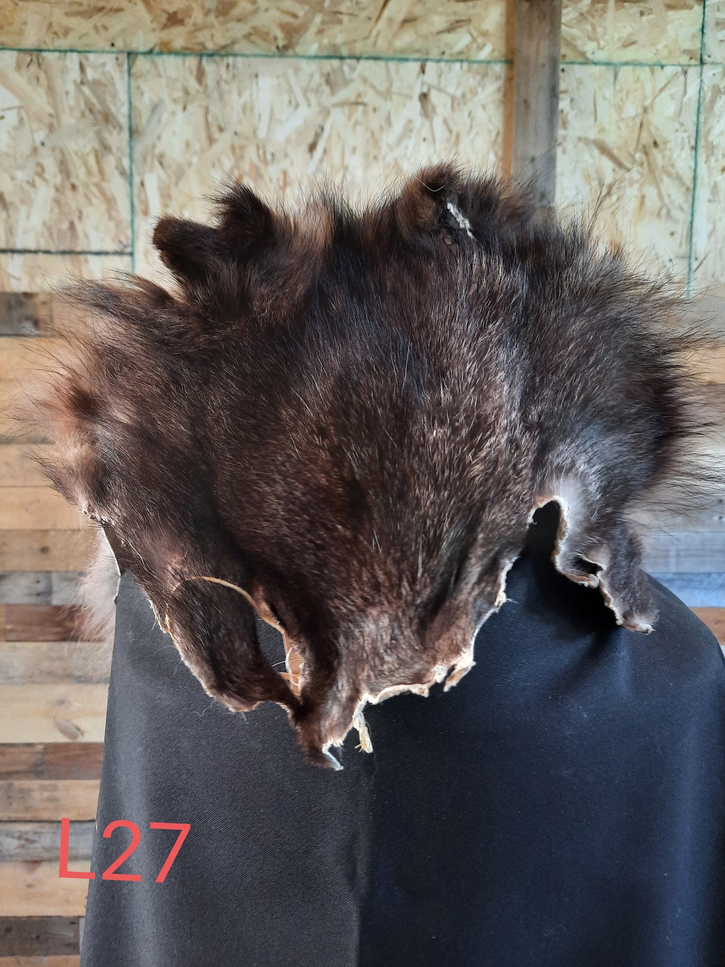 Black Timber Wolf Fur, XXL
