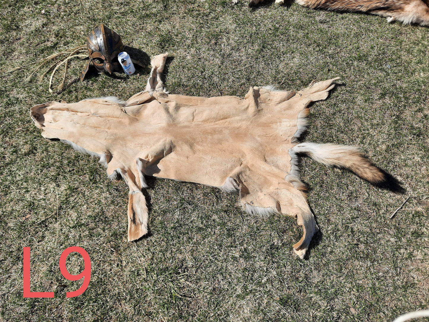 Wolf Fur Pelts, XLarge
