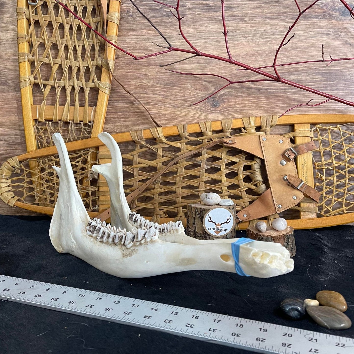 Deer Jawbones (quantité)