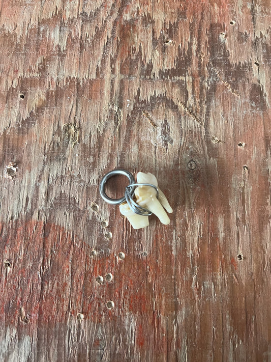 Bear Molar Tooth Pendant