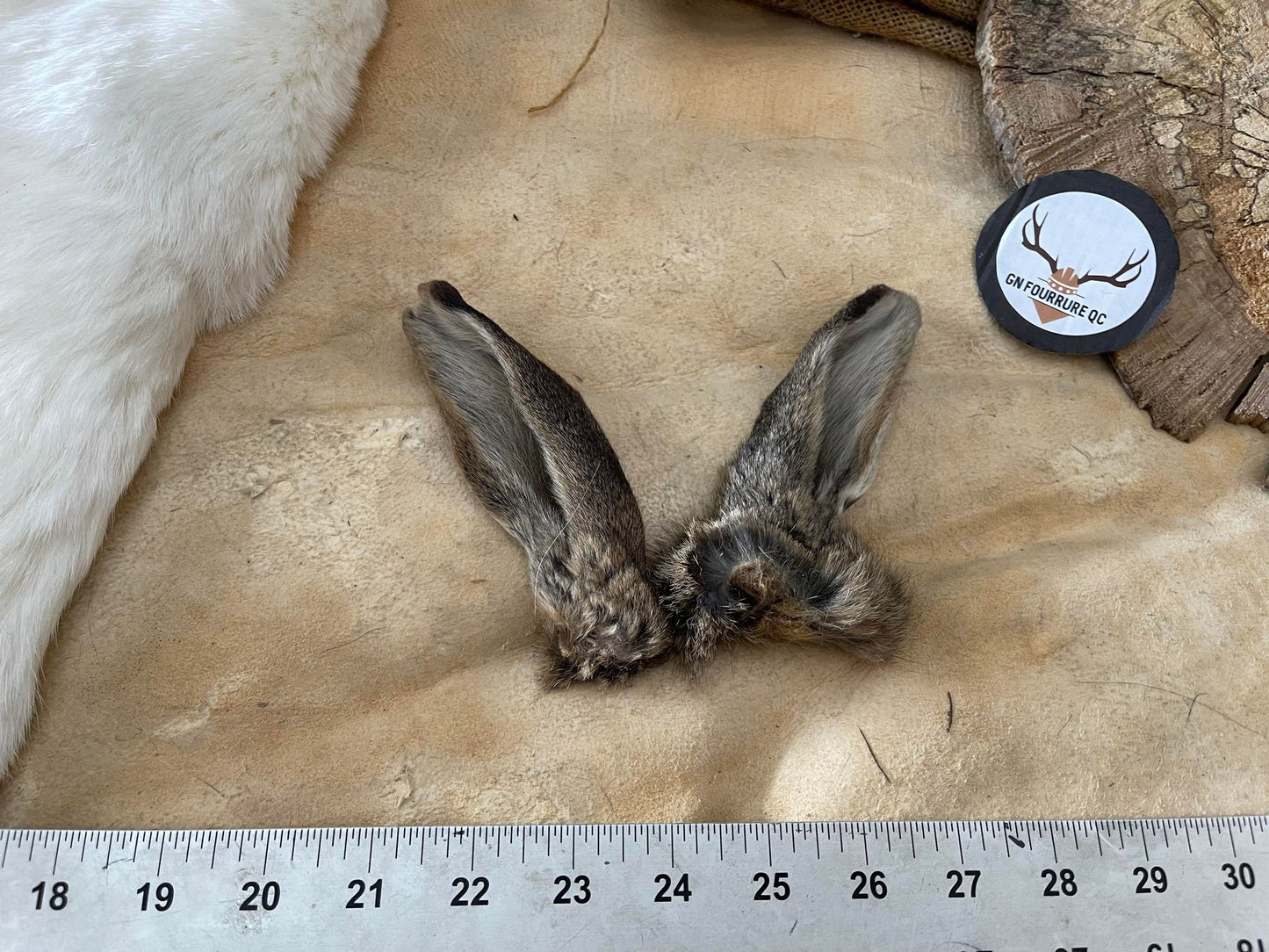 Rabbit Fur - Ears