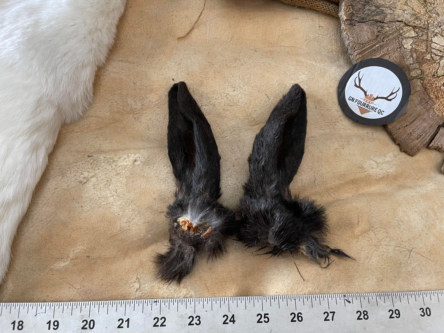 Rabbit Fur - Ears