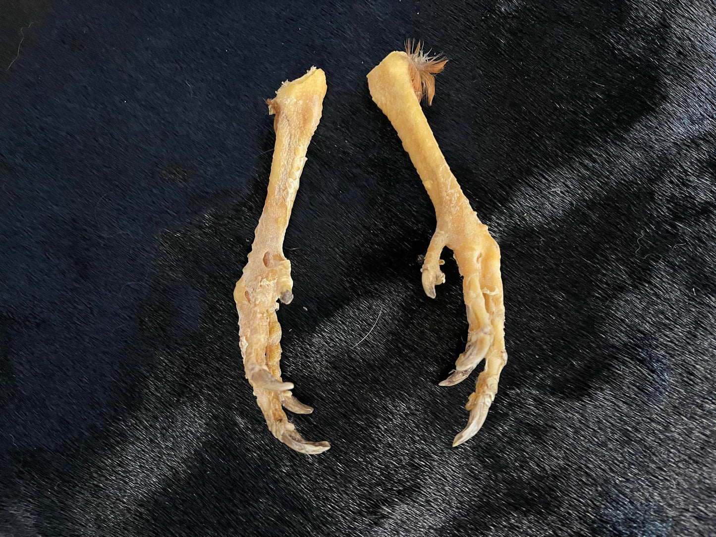 Pieds de poulet