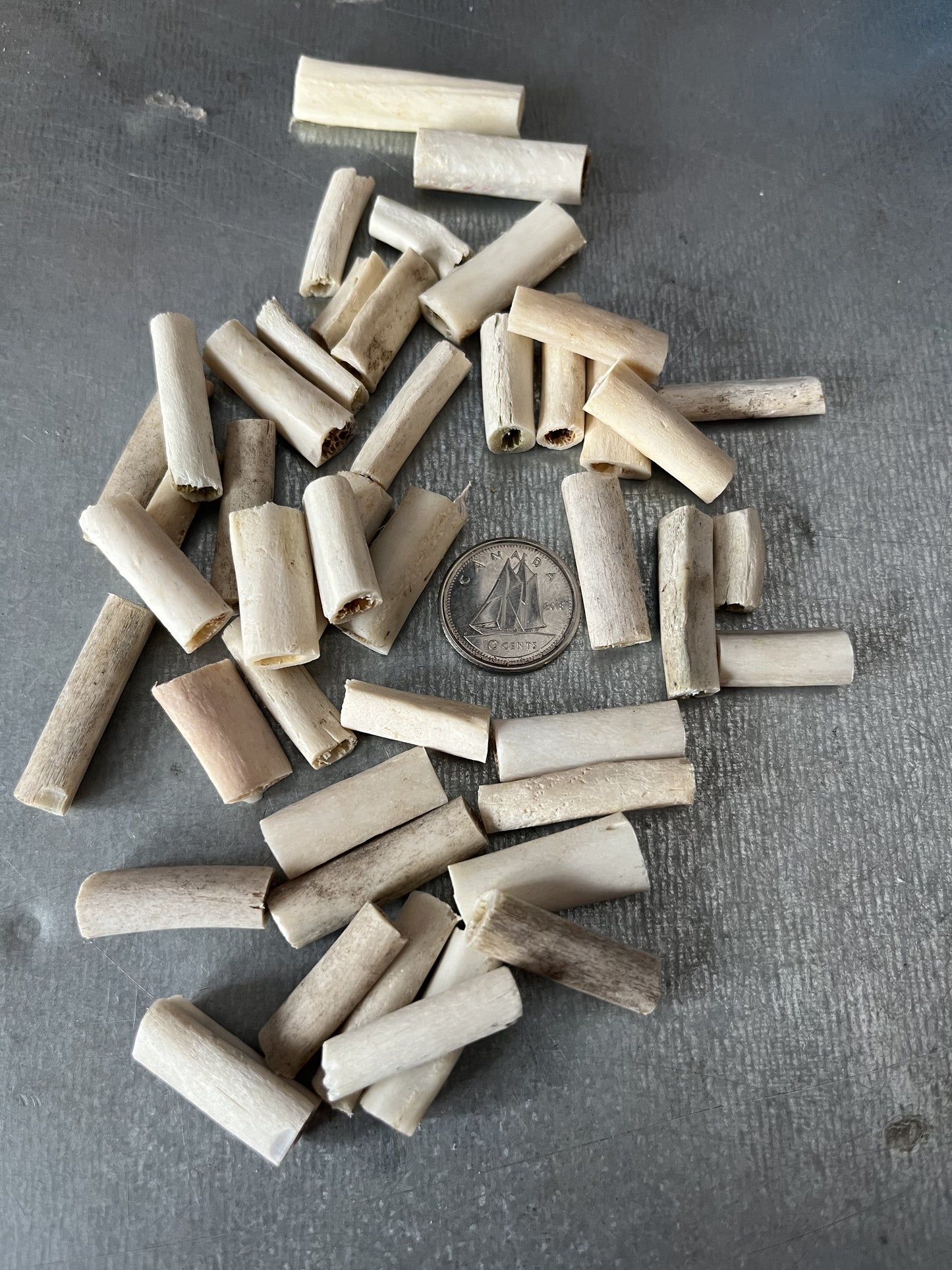 Tubes osseux