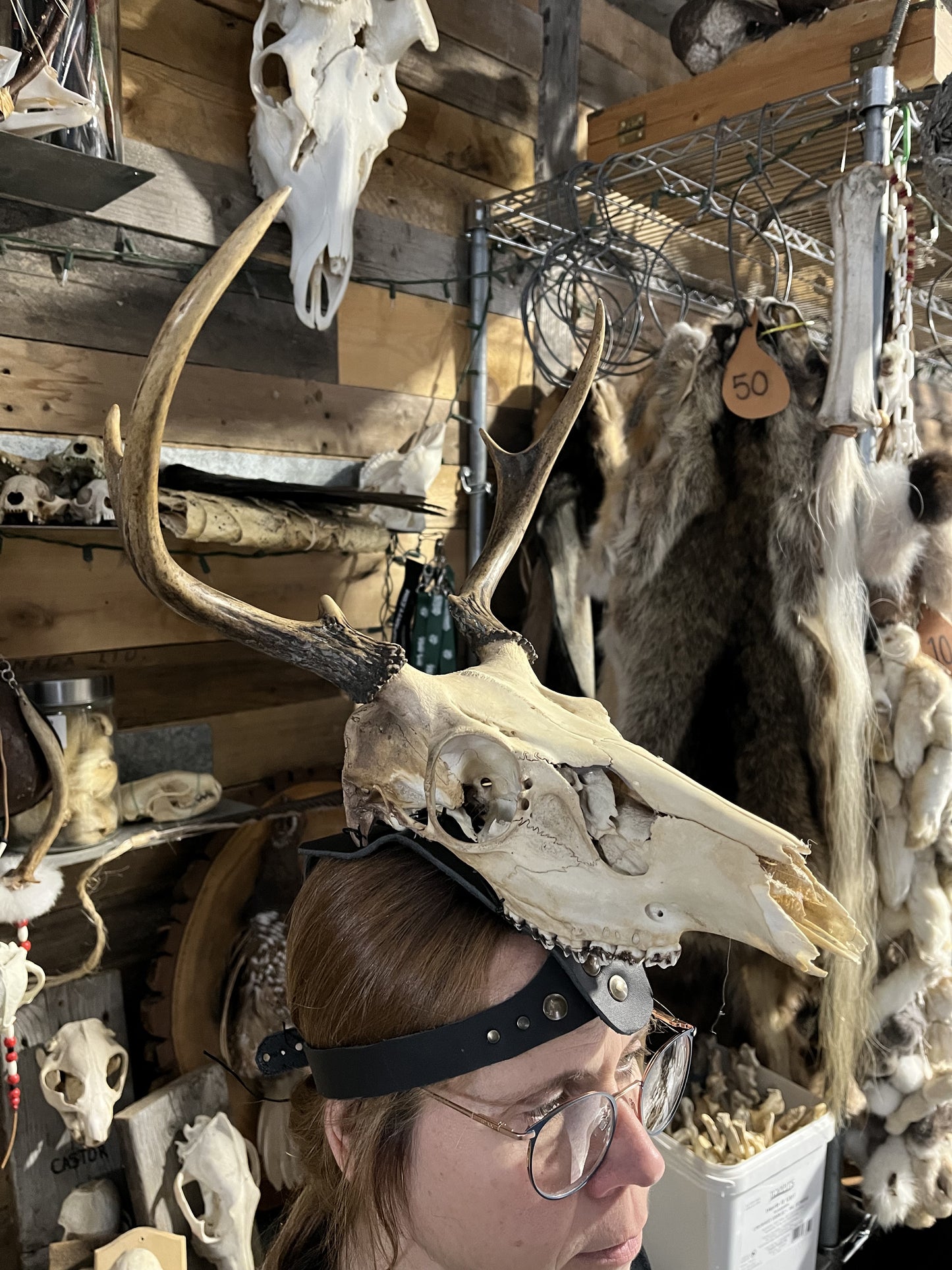 Deer Skull Mask with Antlers