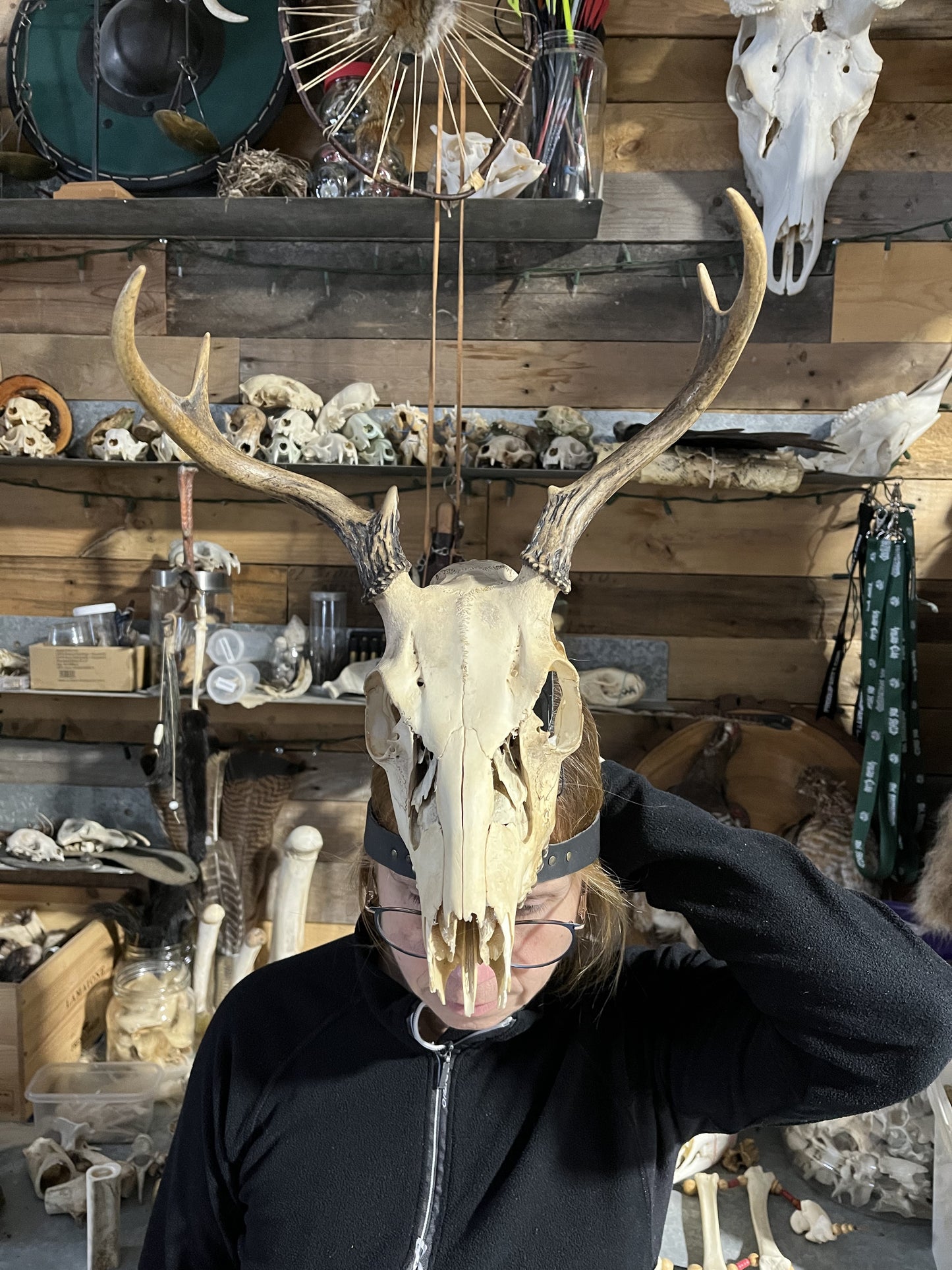 Deer Skull Mask with Antlers