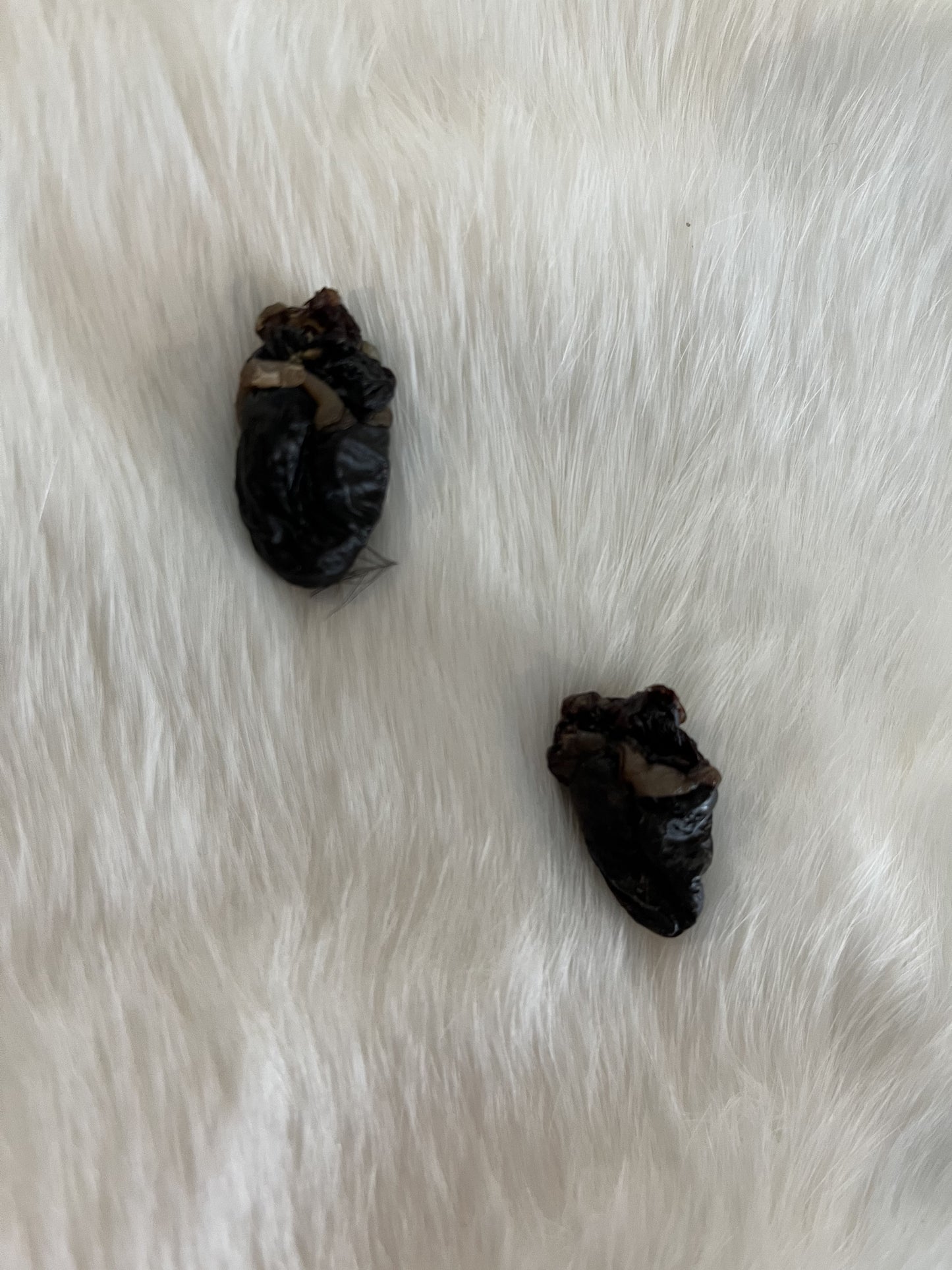 Crow Heart - Medieval Fur