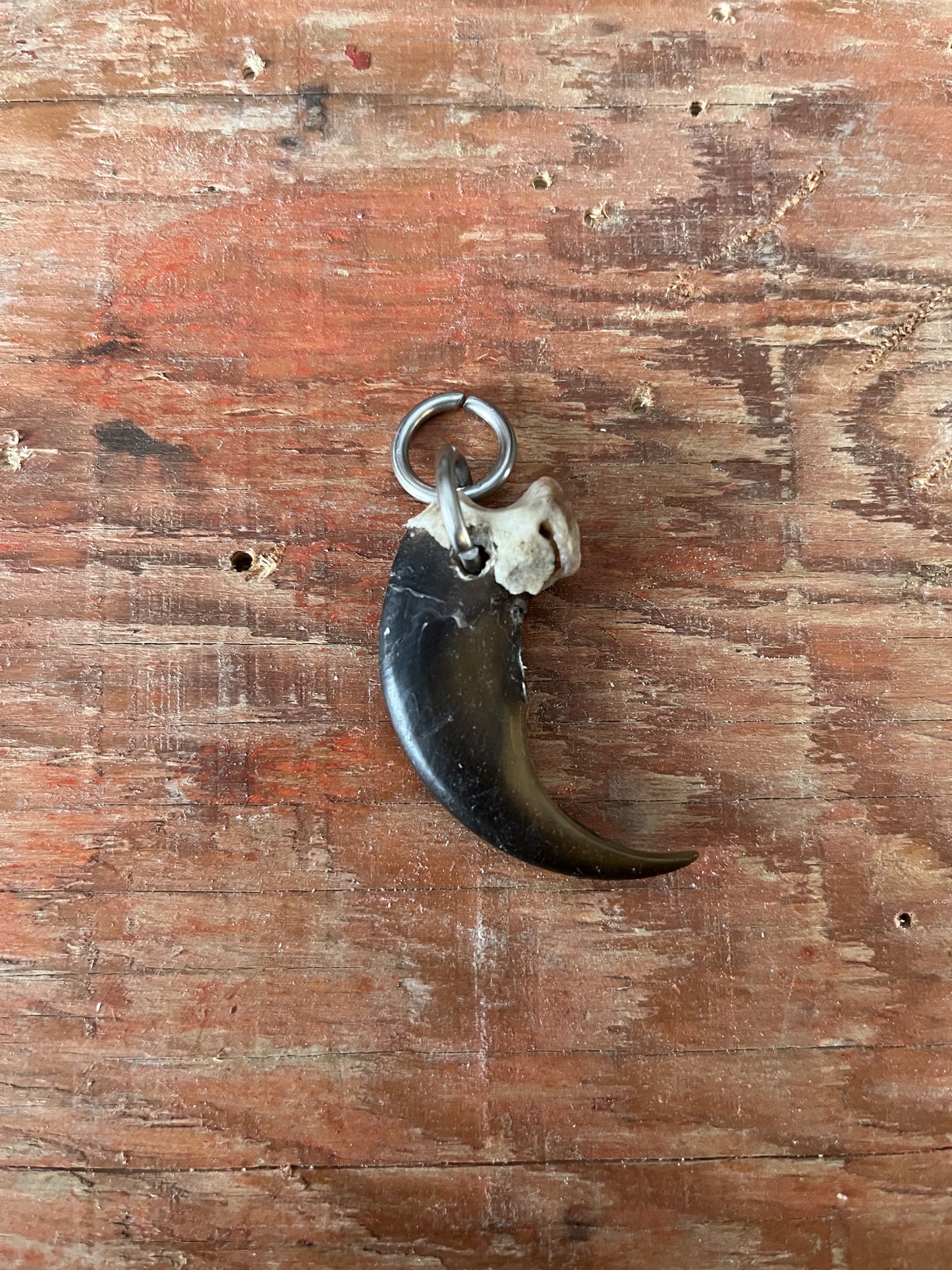 Bear Claw Pendant