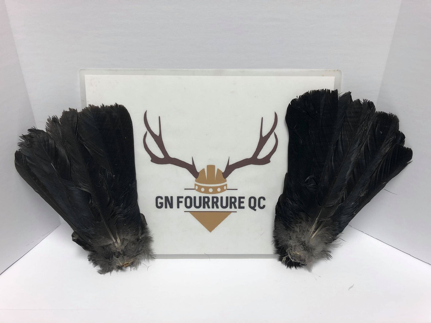 Crow Tail Feathers