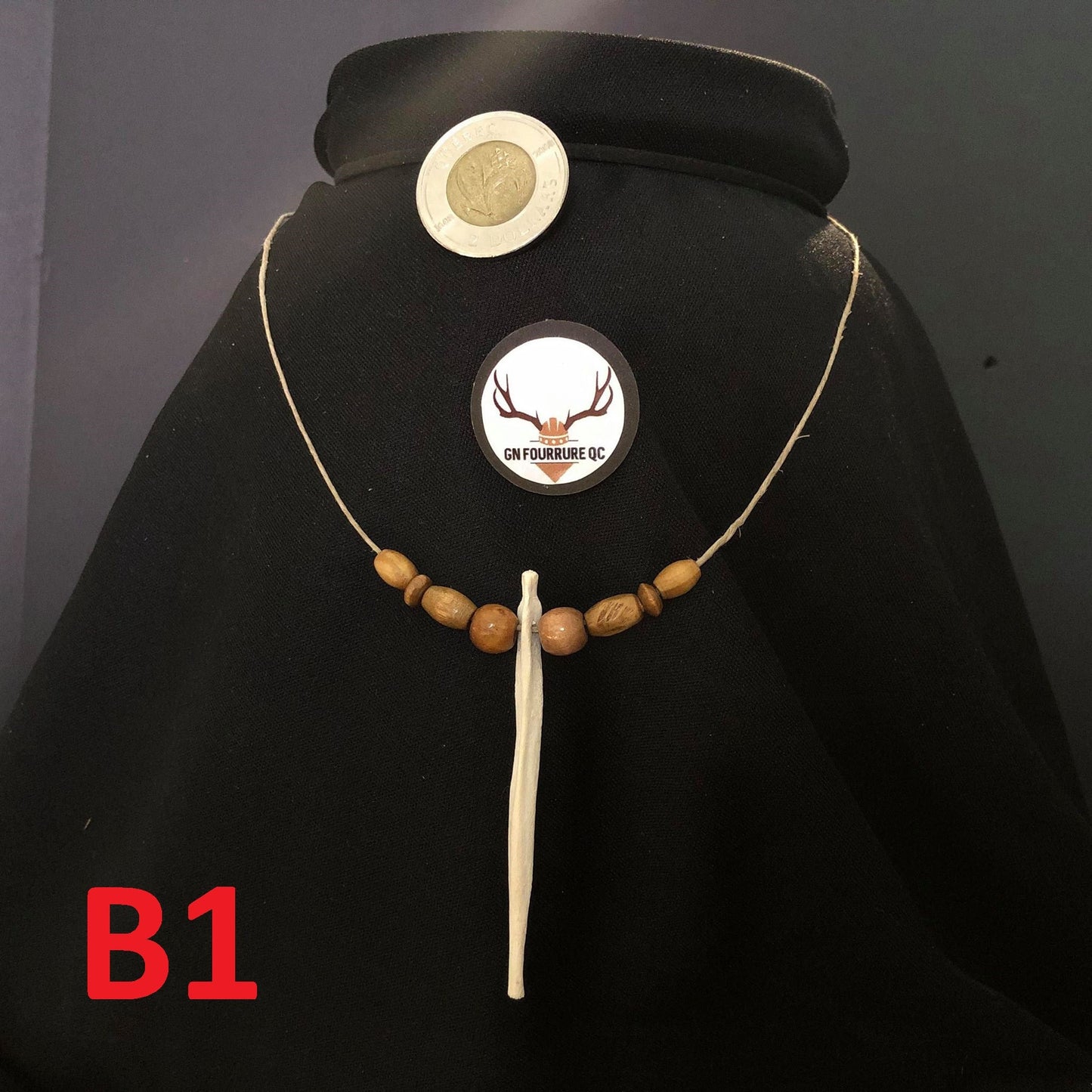 Colliers en os de Baculum