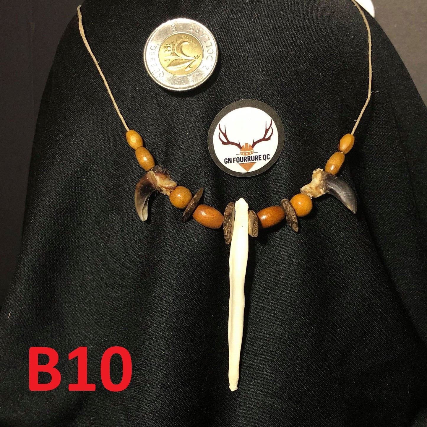 Colliers en os de Baculum