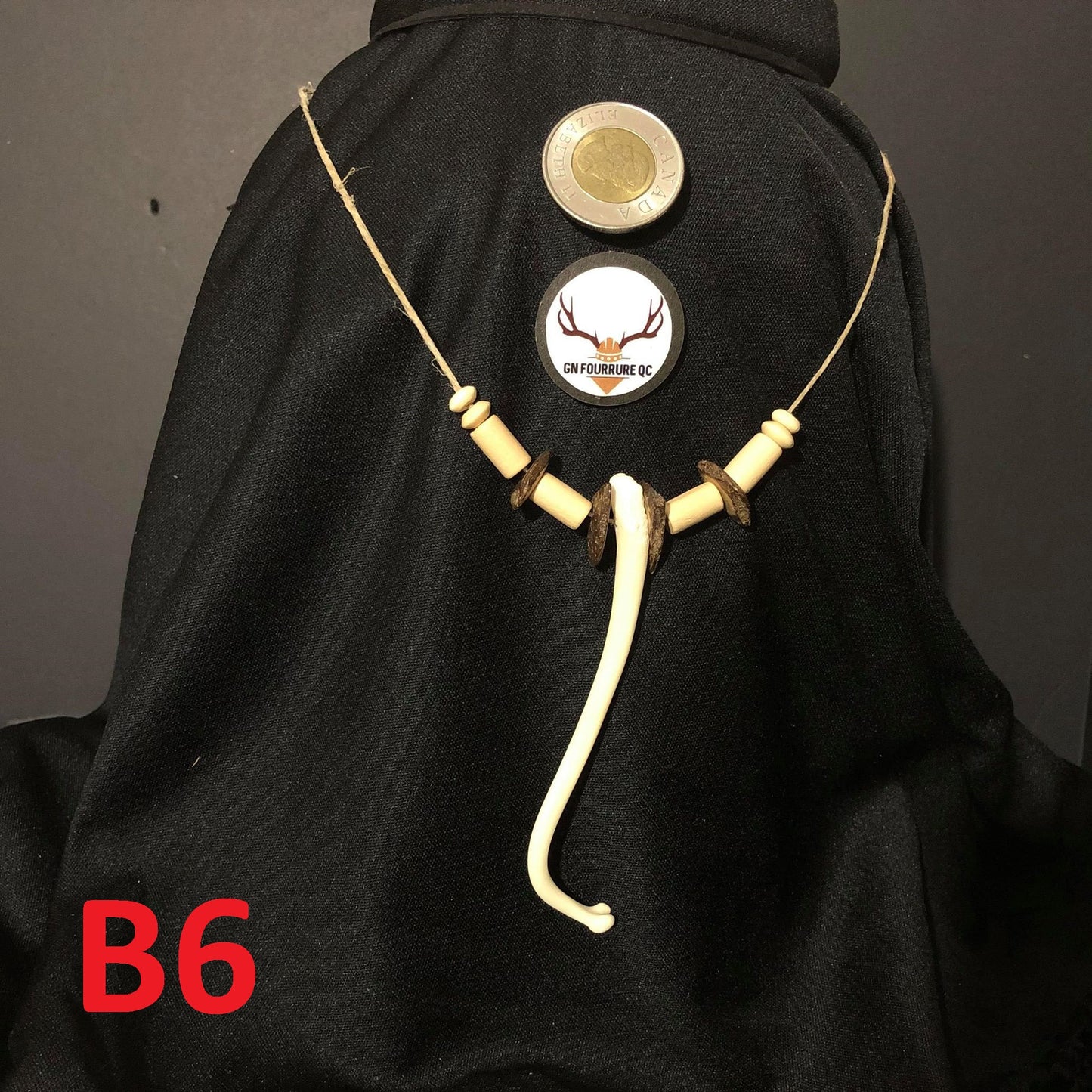 Colliers en os de Baculum