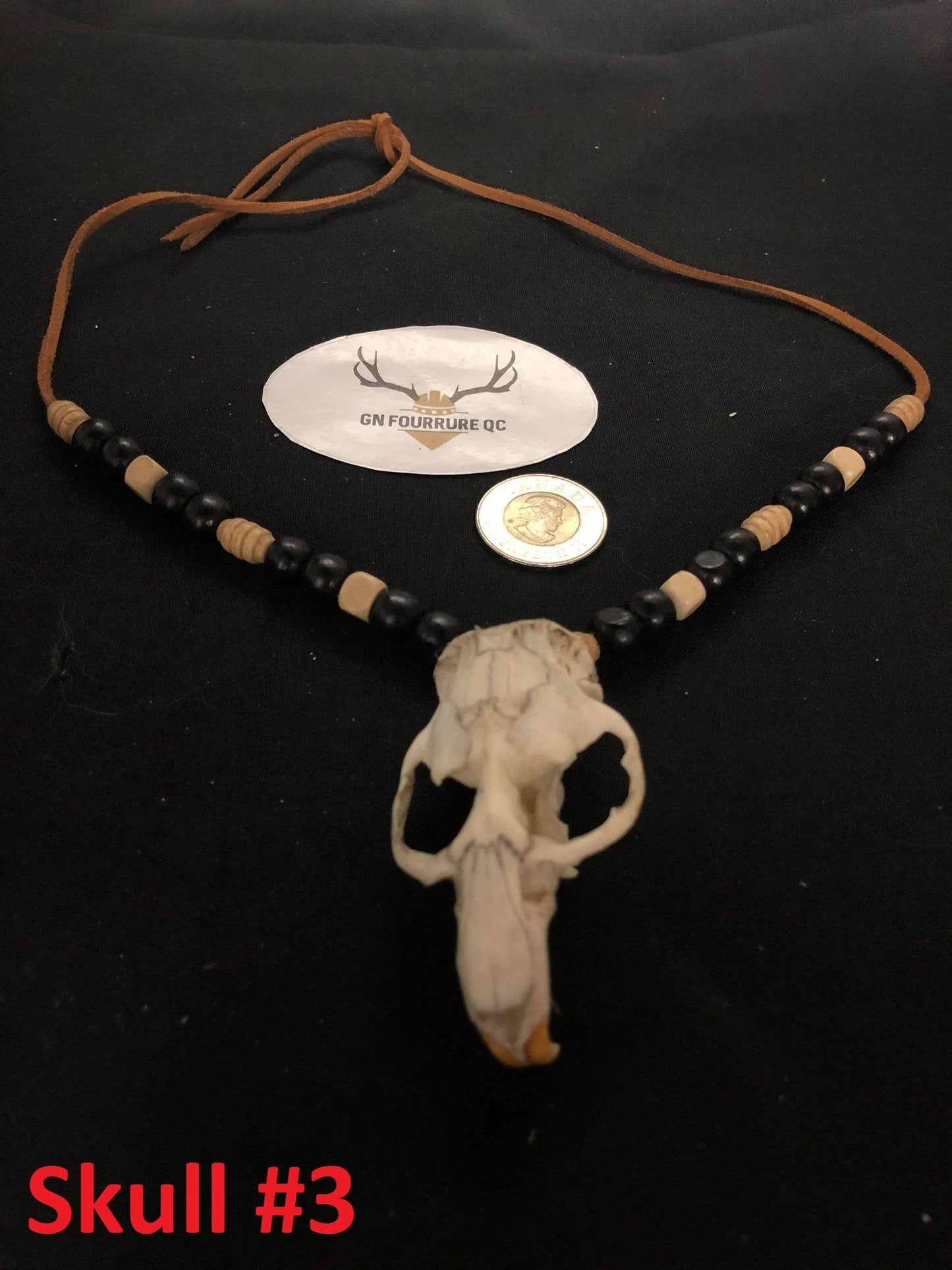Small Animal Skull Necklace