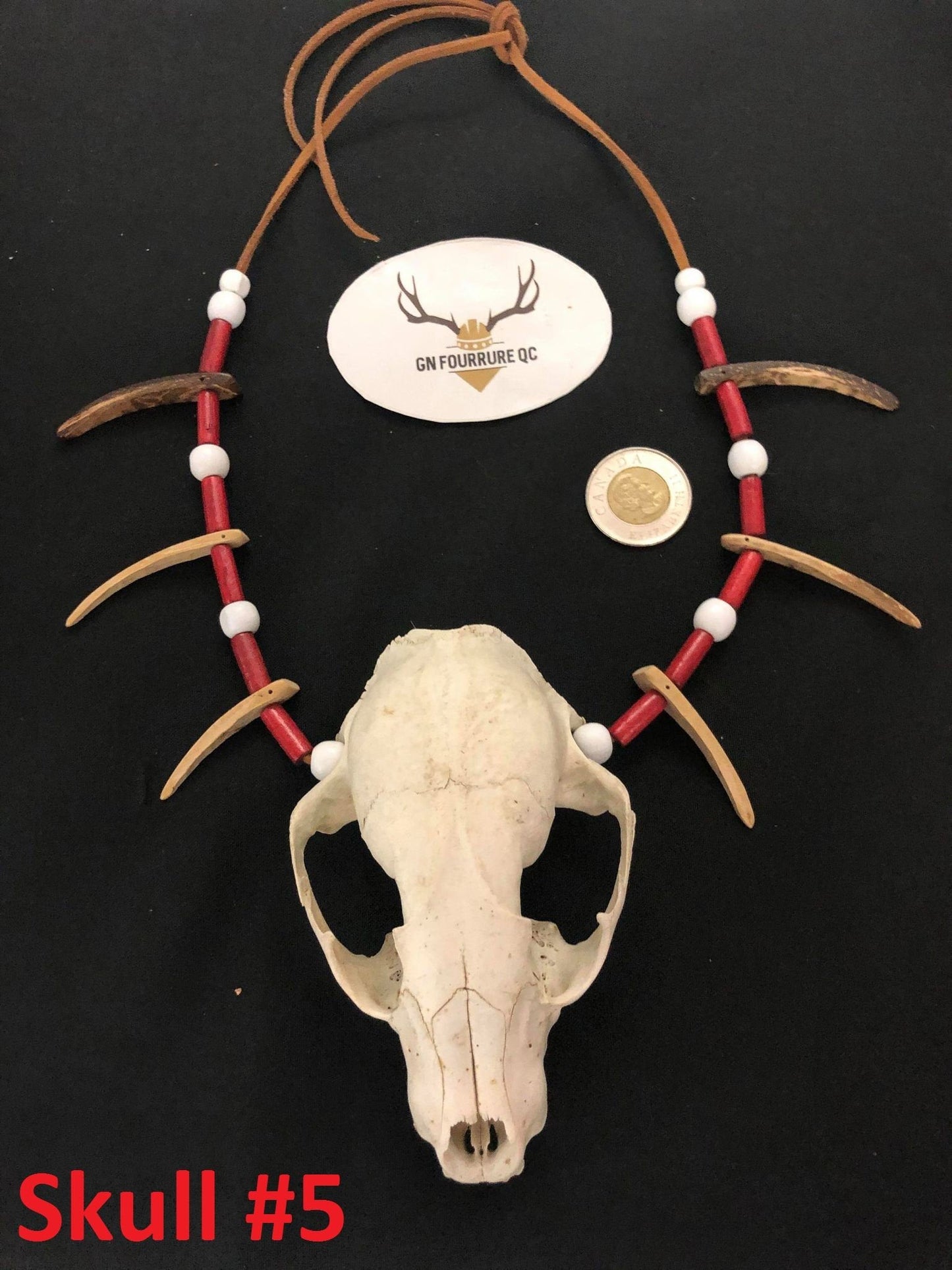 Collier avec petit crâne d'animal