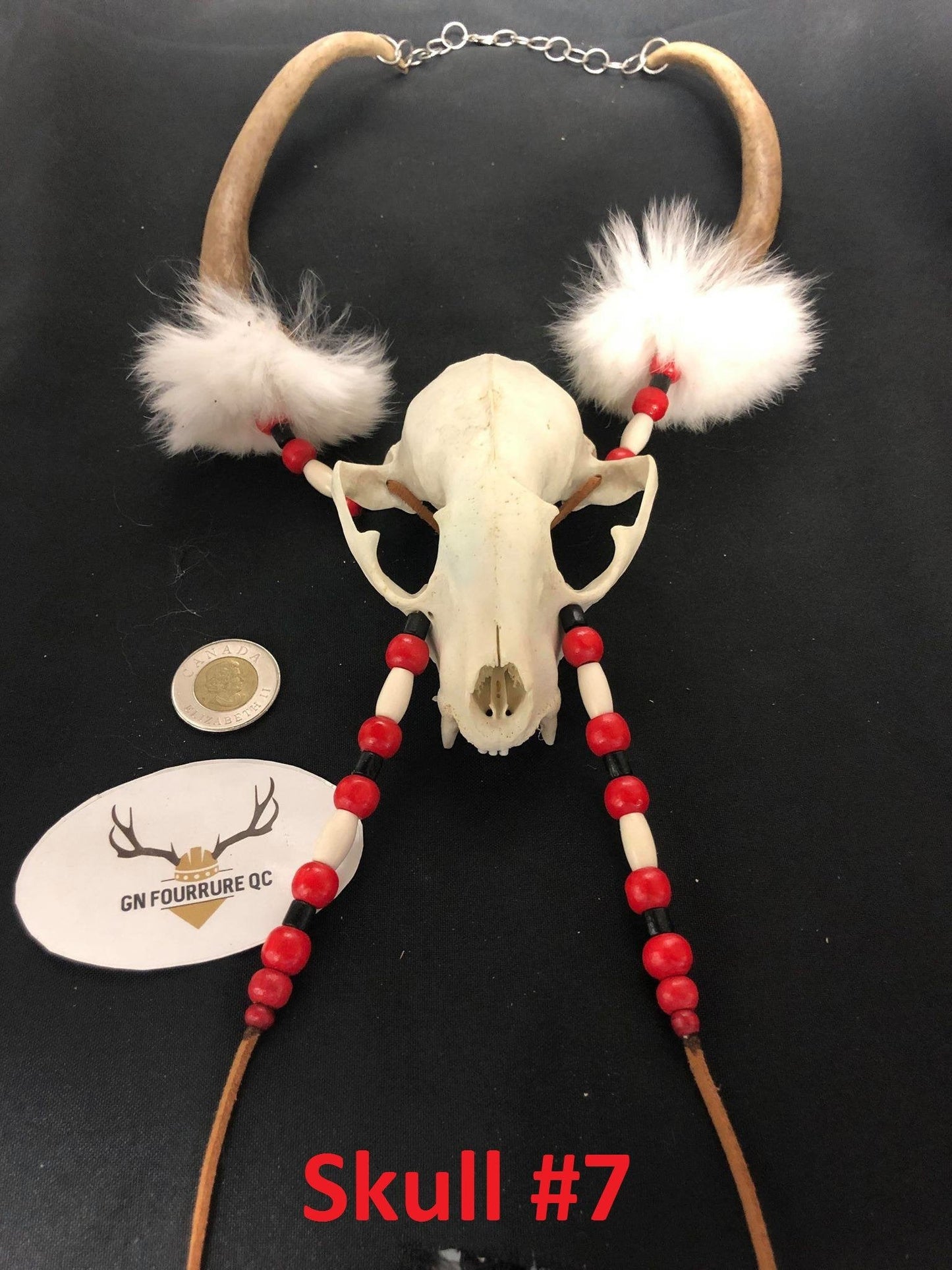 Collier avec petit crâne d'animal
