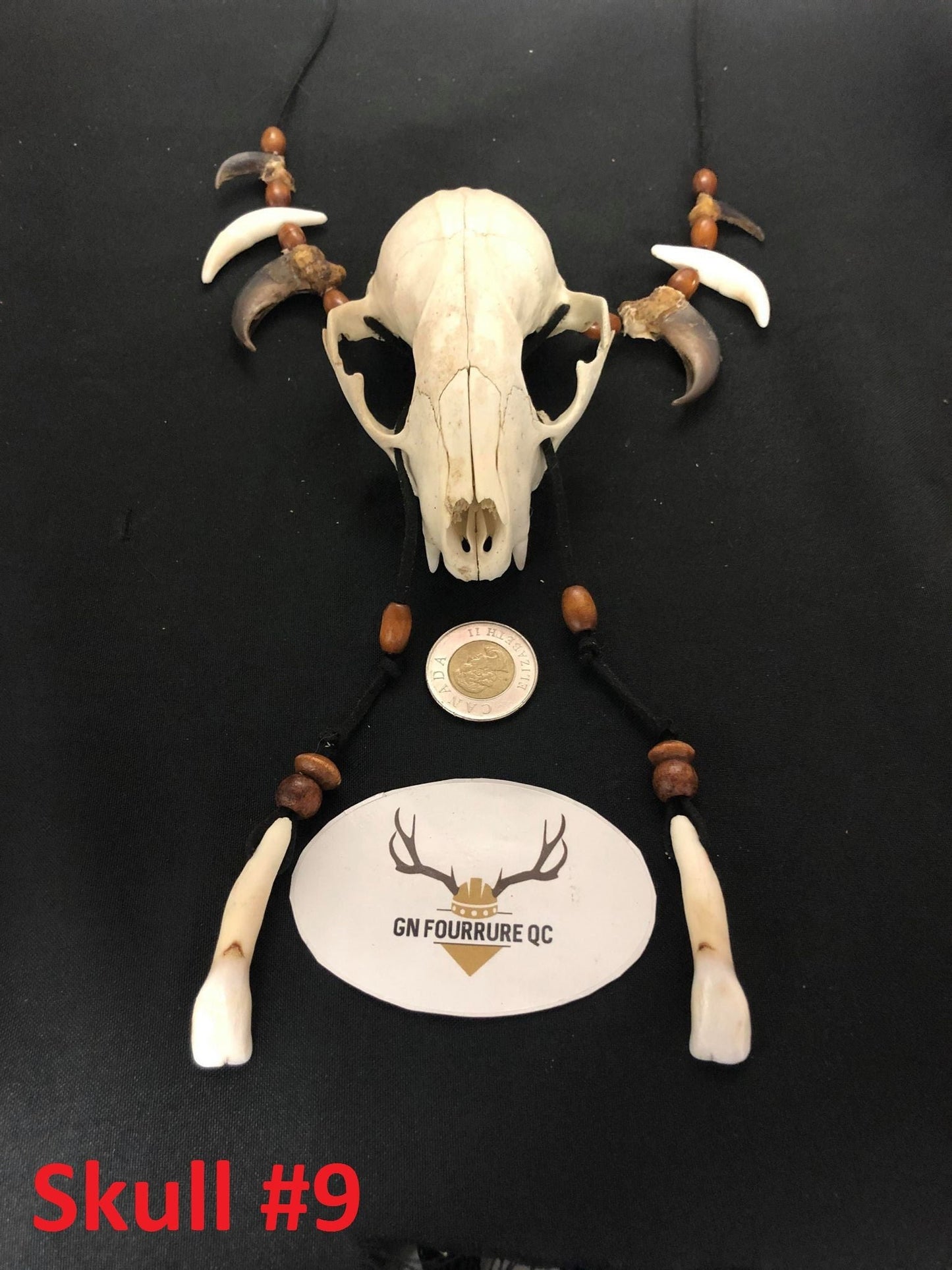 Small Animal Skull Necklace