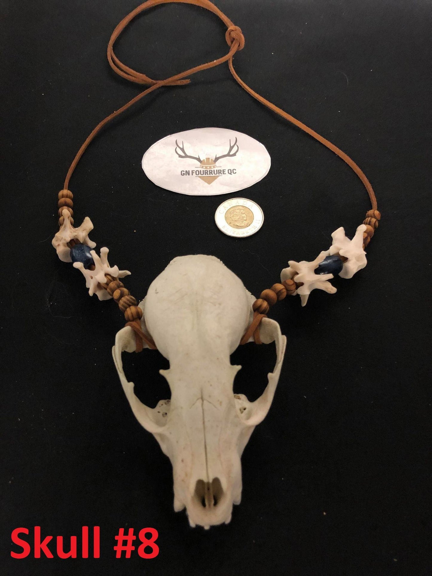 Collier avec petit crâne d'animal