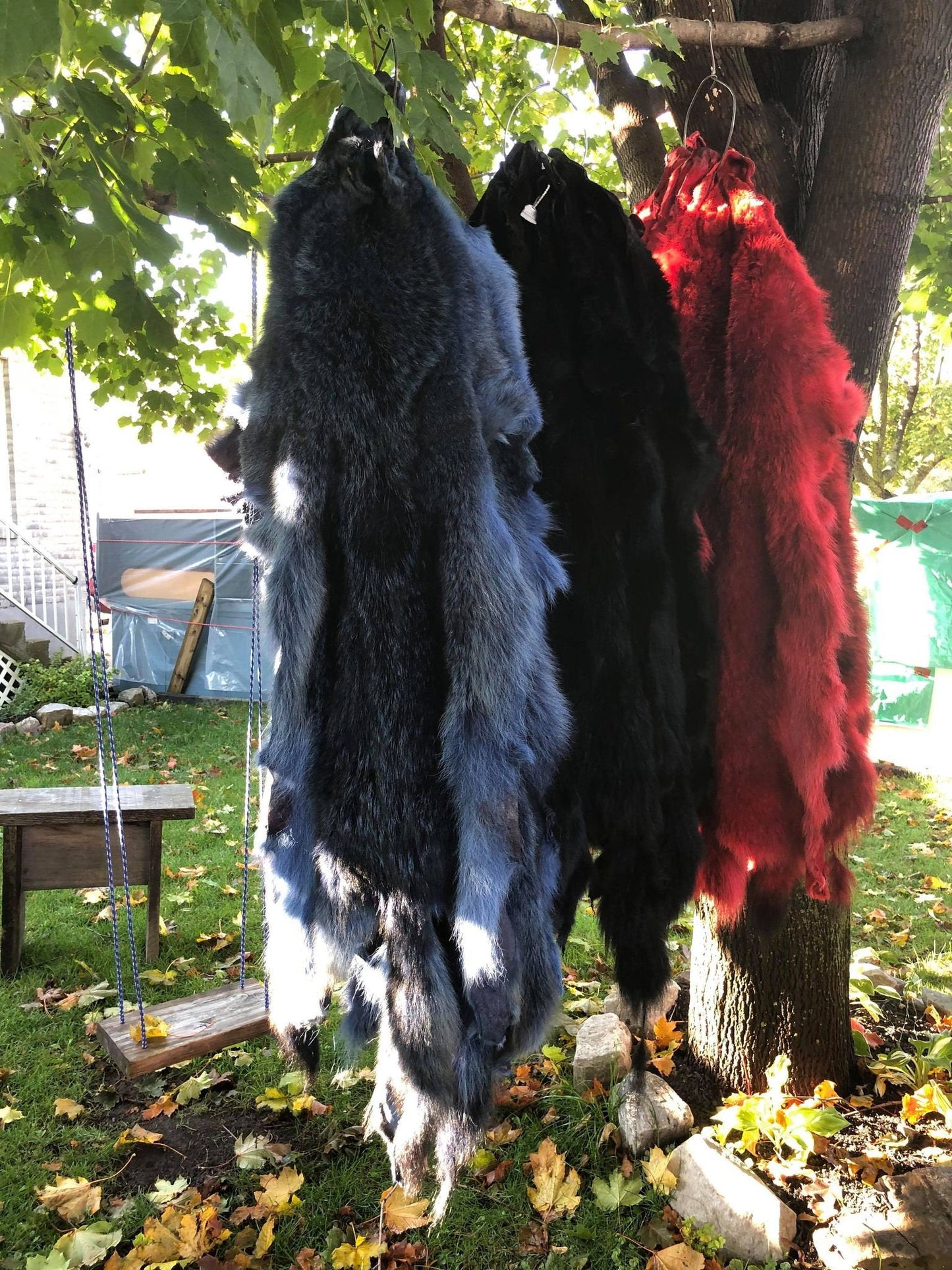 Coyote Fur Skin, Dyed