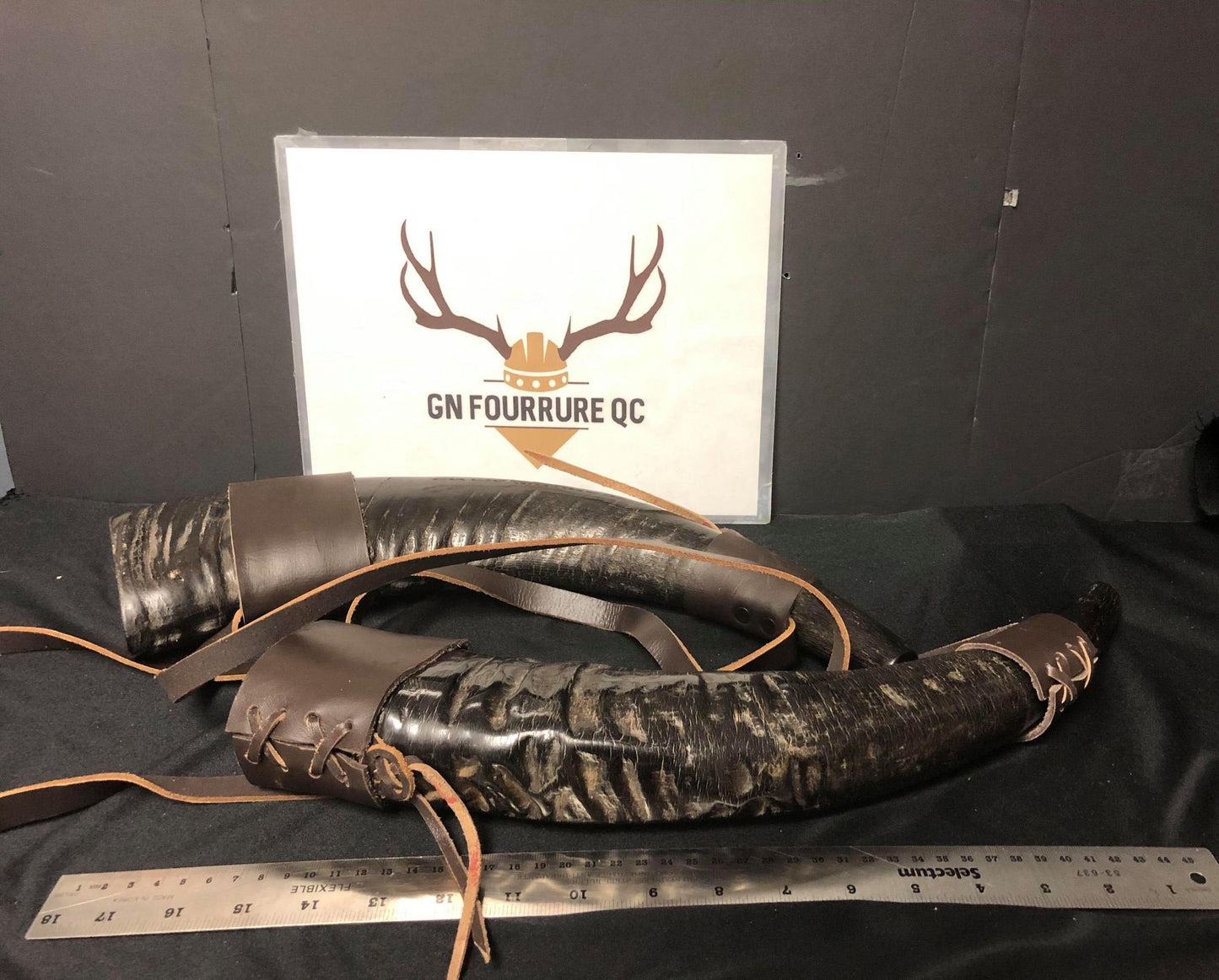 Viking War Horns