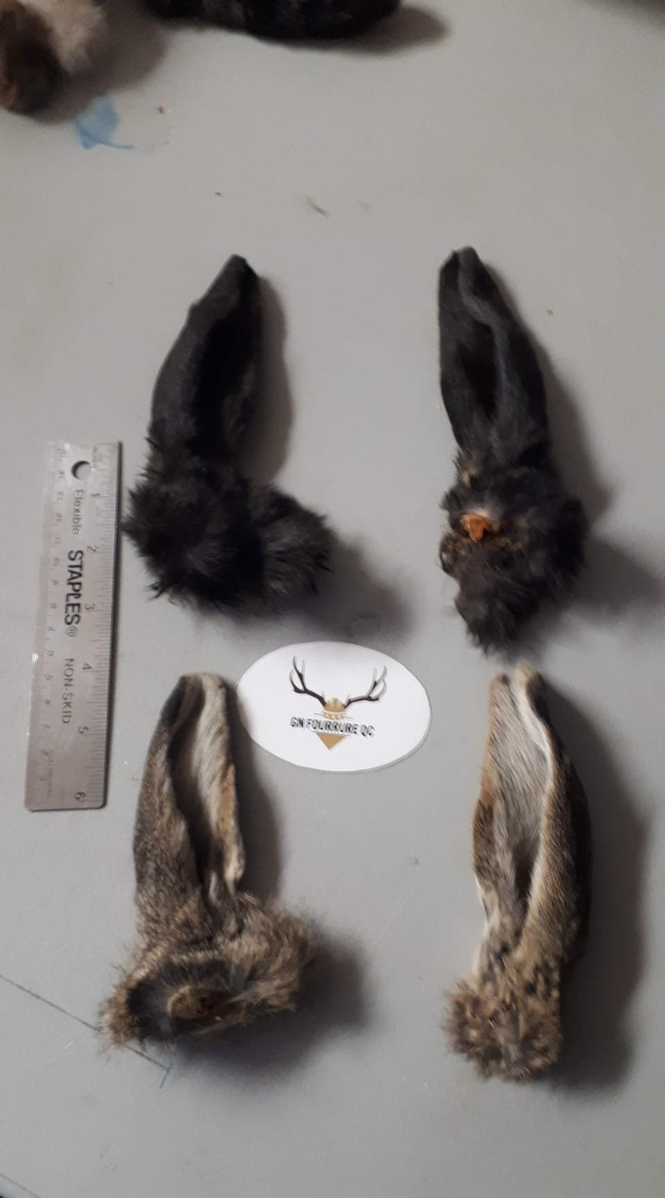 Rabbit Fur - Ears