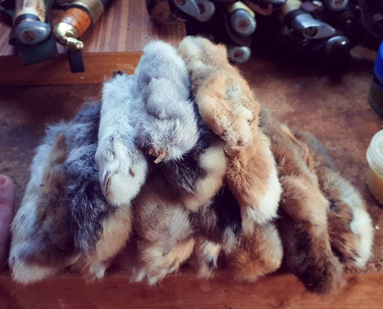Pied de lapin porte-bonheur