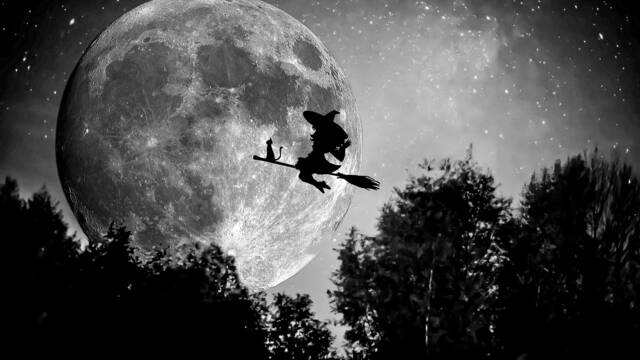 Witches Broom, Miniature