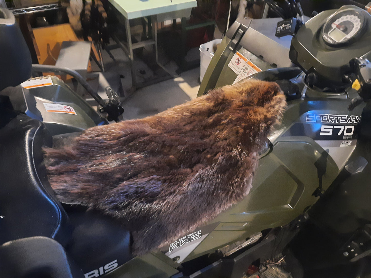 Beaver Fur Pelt