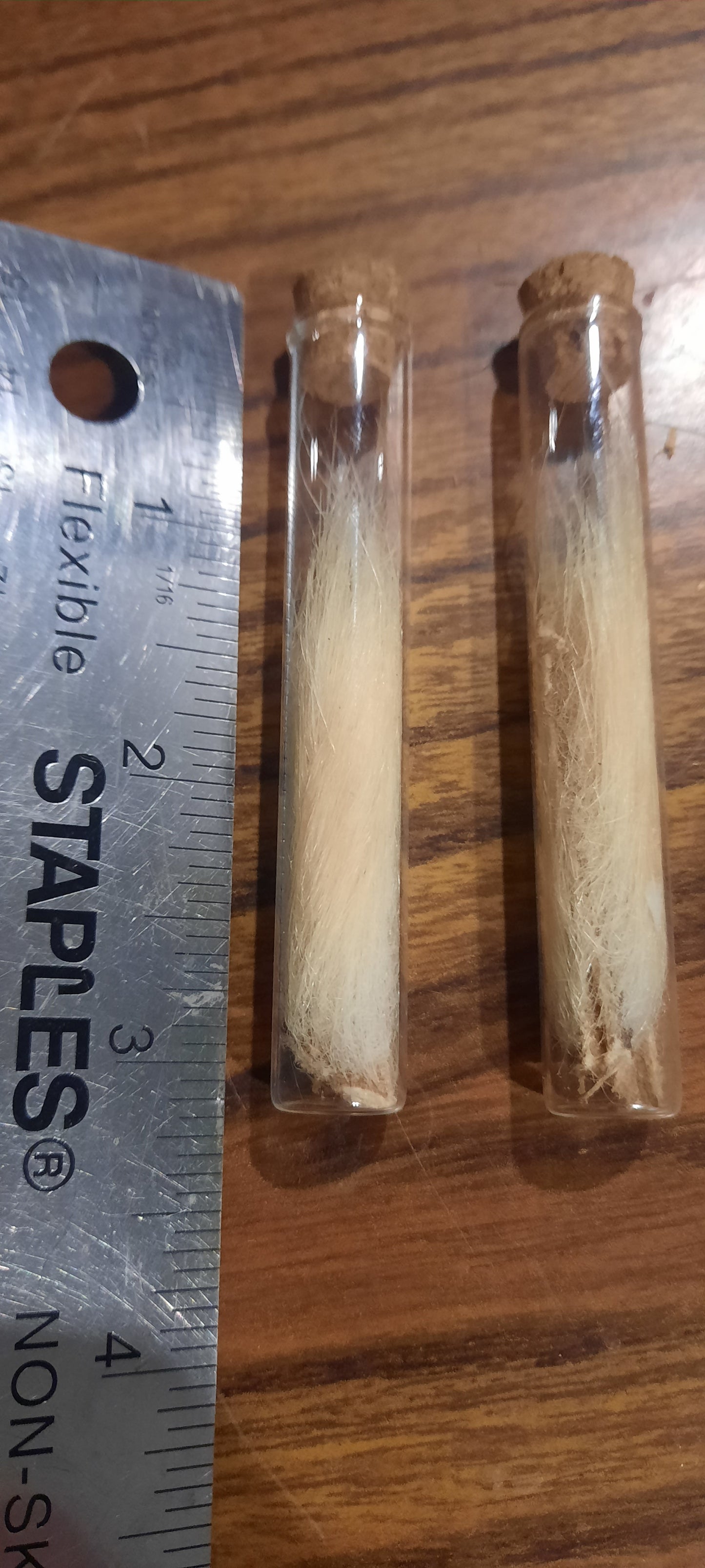 Polar bear fur vial