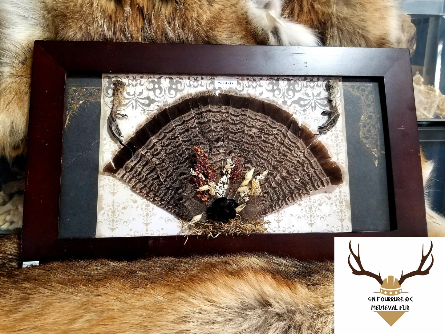 Partridge tail in a frame