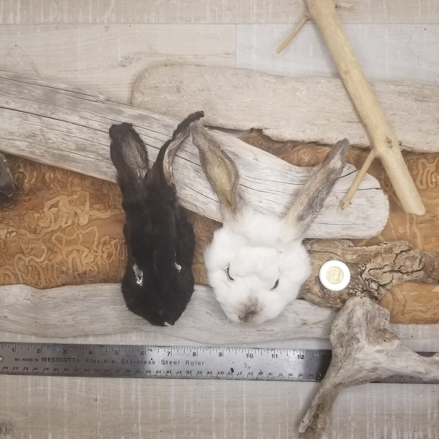 Rabbit Fur - Full Rabbit Face