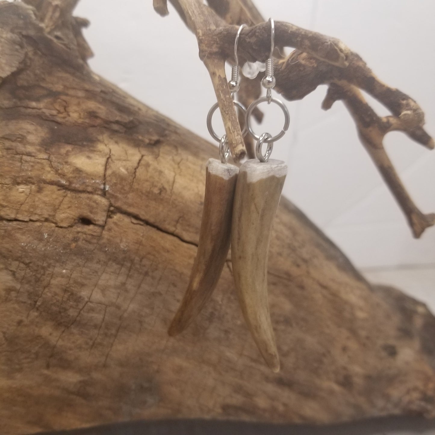 Earrings - Deer antler points