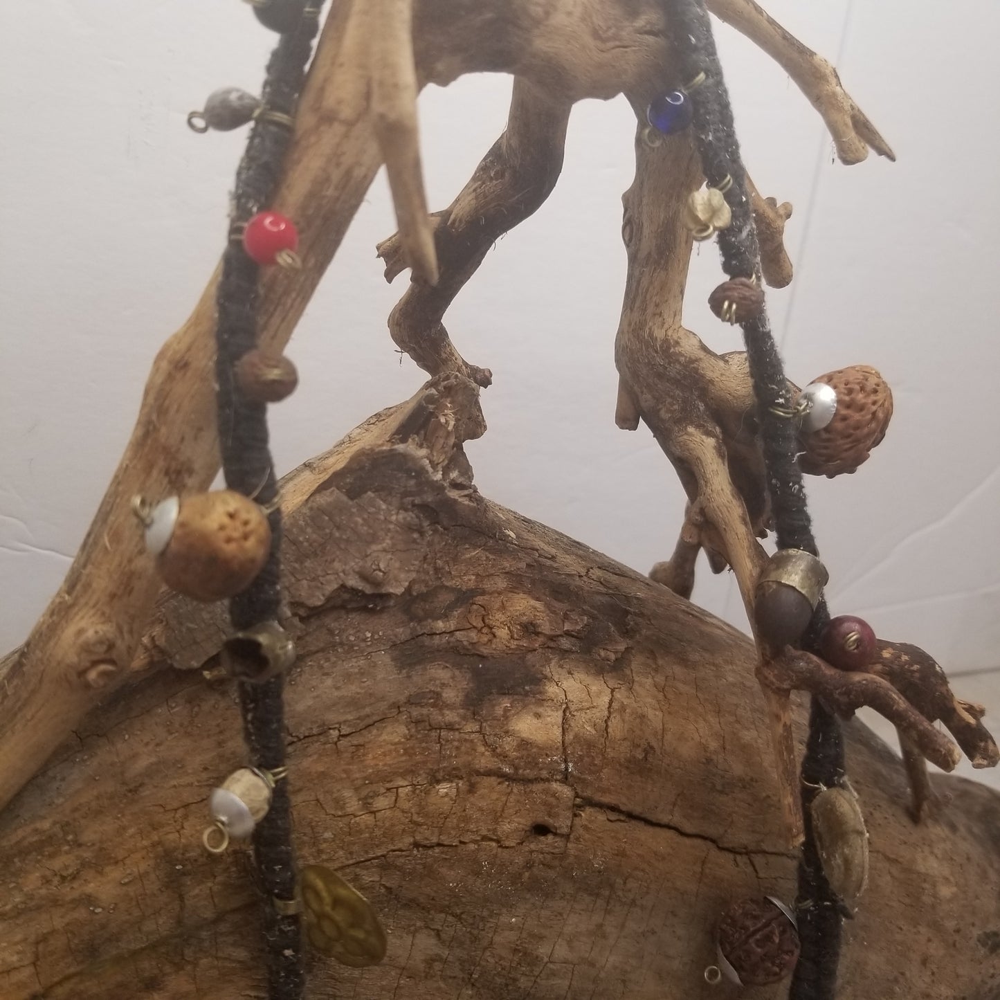 Moose incisor - Unique Necklace