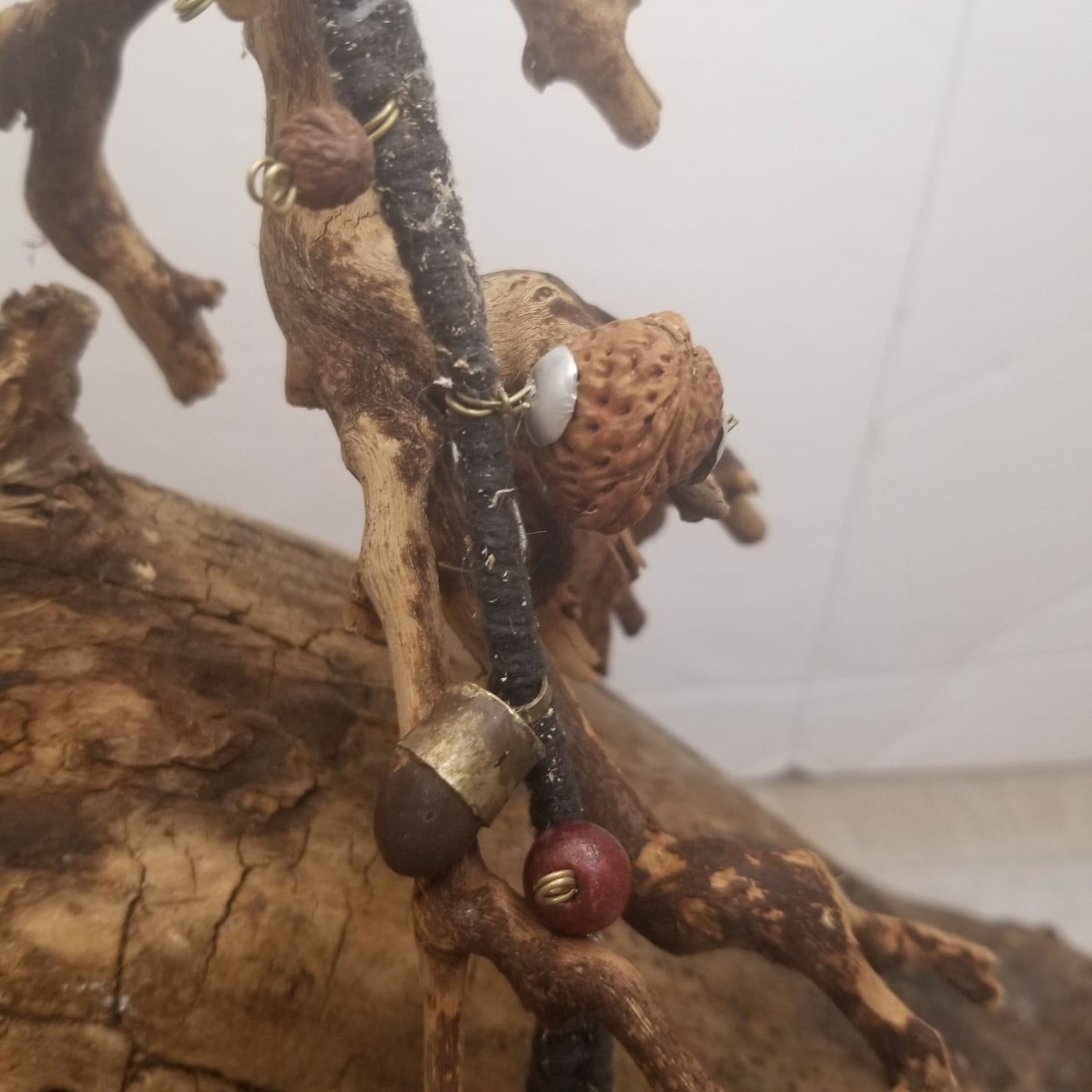 Moose incisor - Unique Necklace